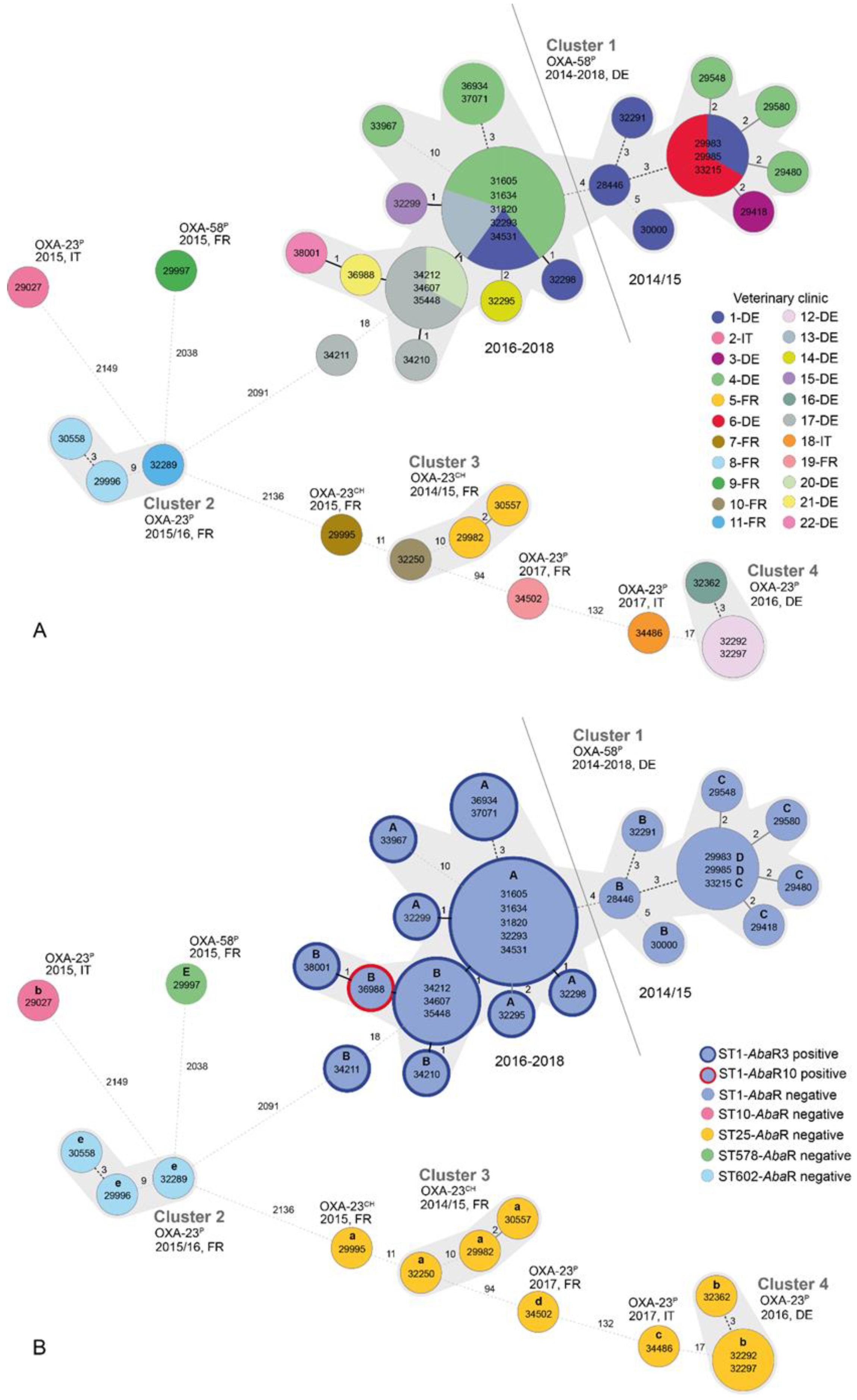 Antibiotics 11 01045 g001
