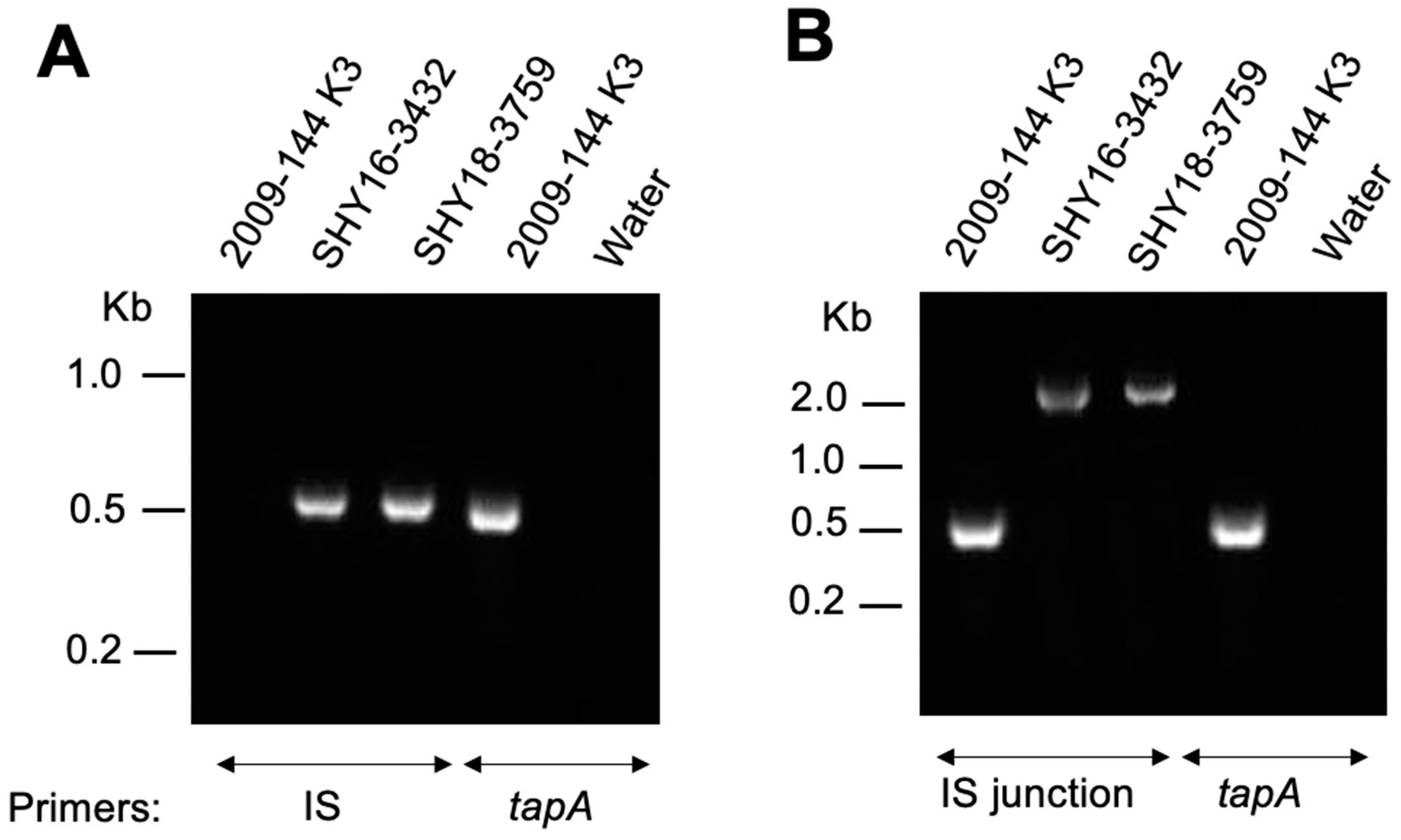 Antibiotics 11 01047 g001