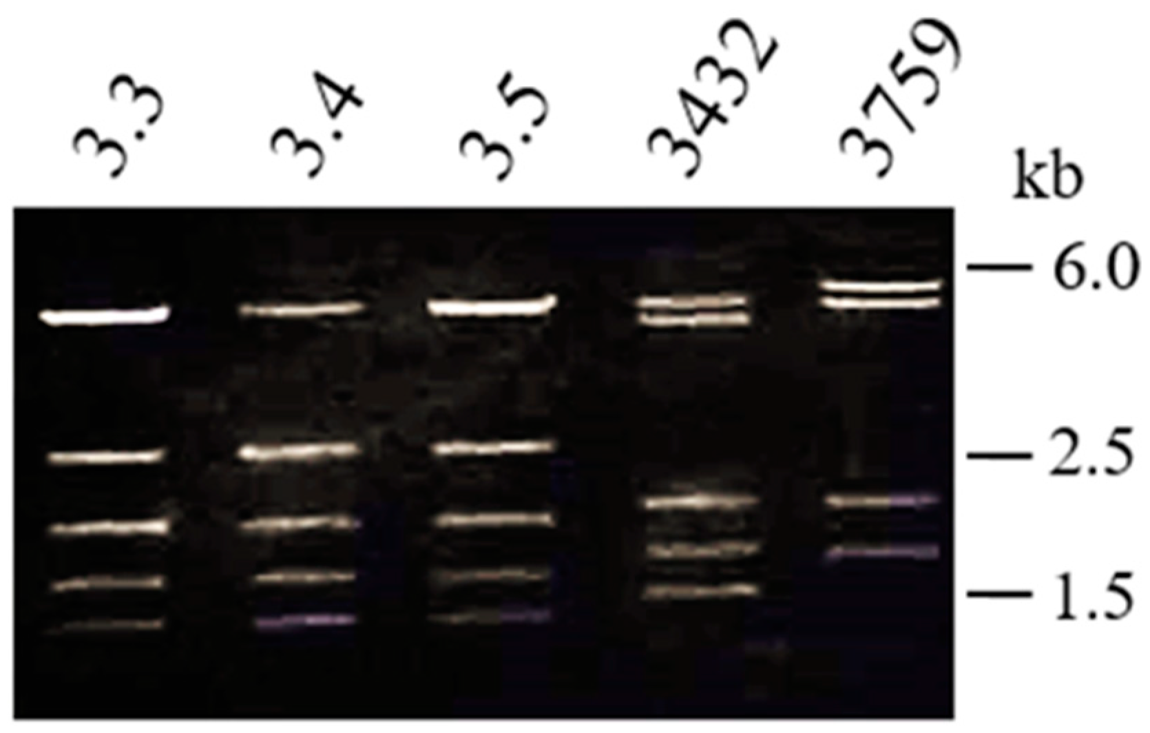 Antibiotics 11 01047 g002