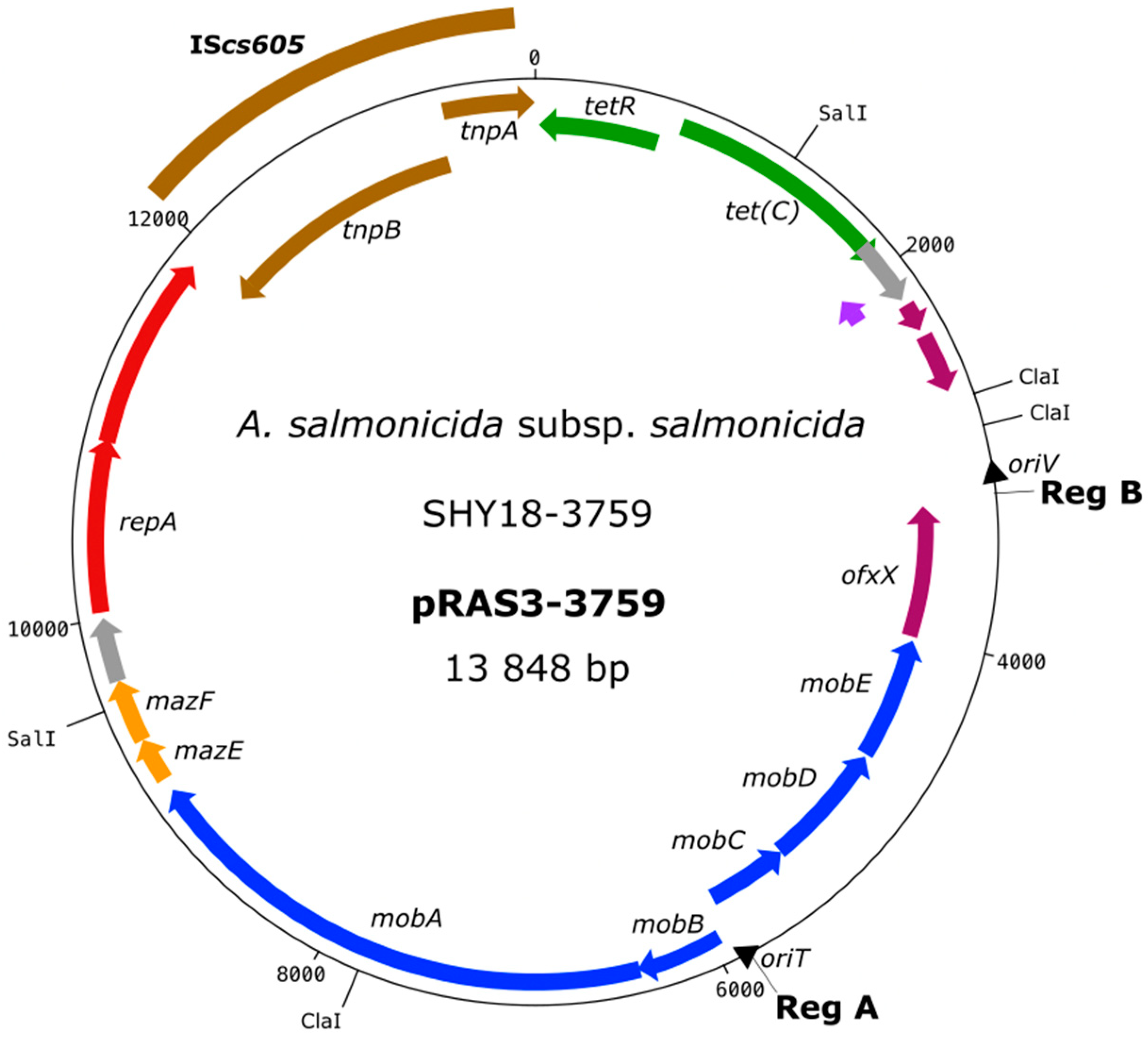 Antibiotics 11 01047 g003