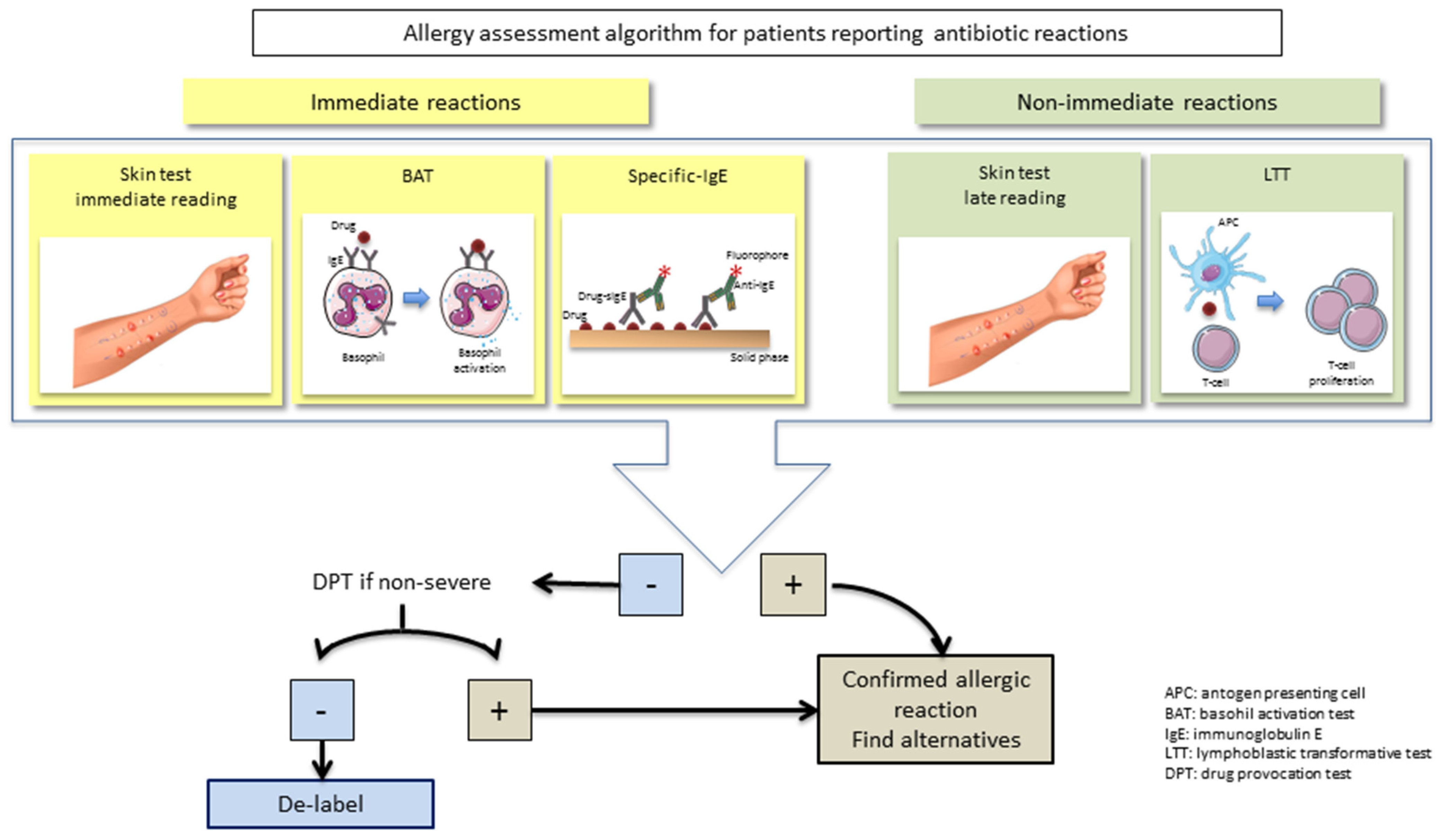 Antibiotics 11 01055 g002