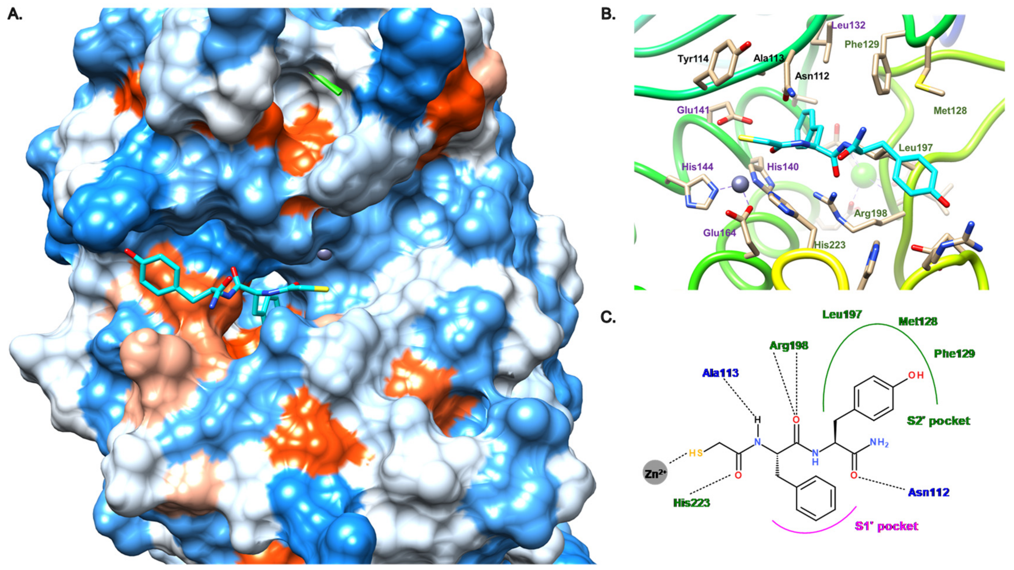 Antibiotics 11 01060 g005