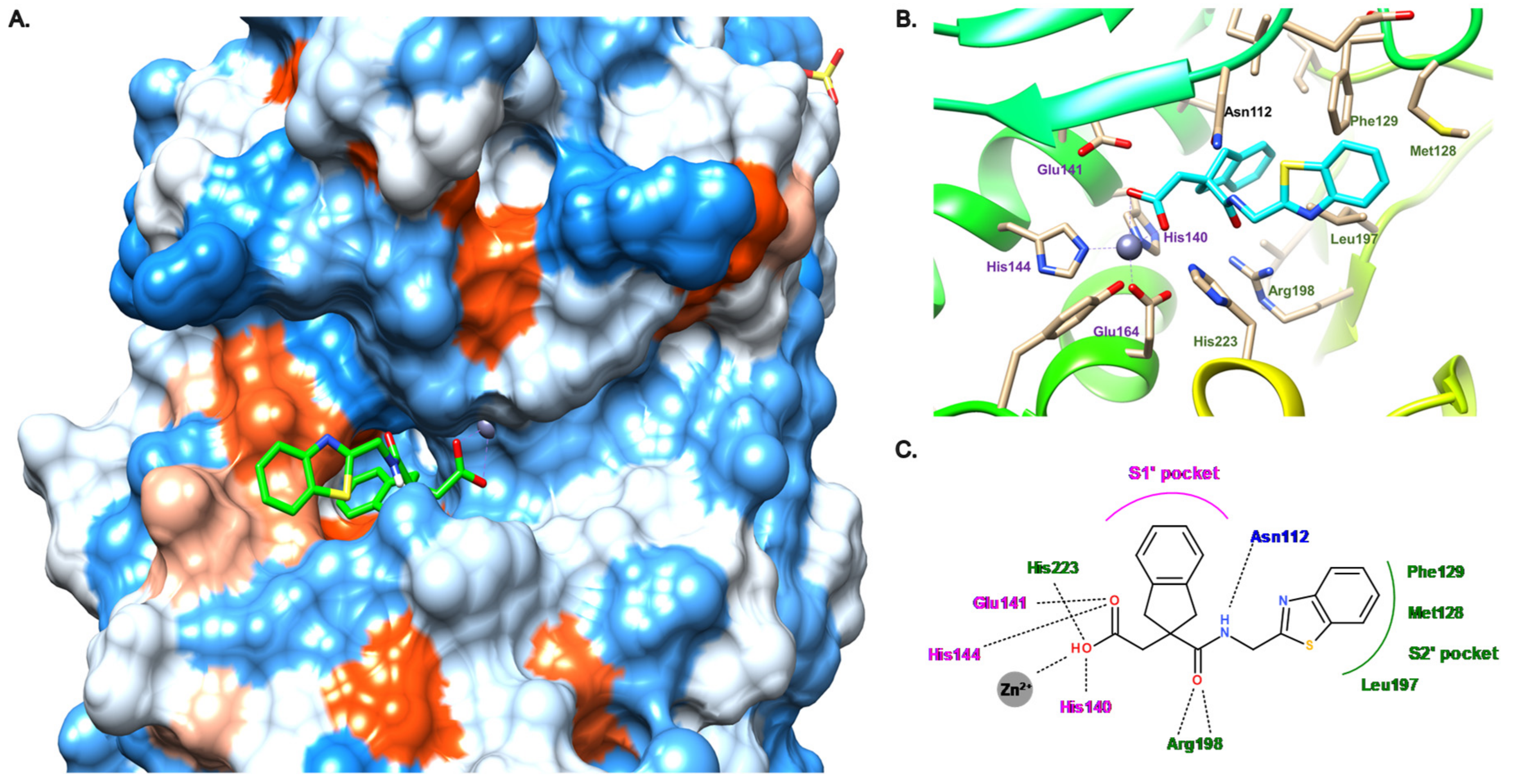 Antibiotics 11 01060 g012