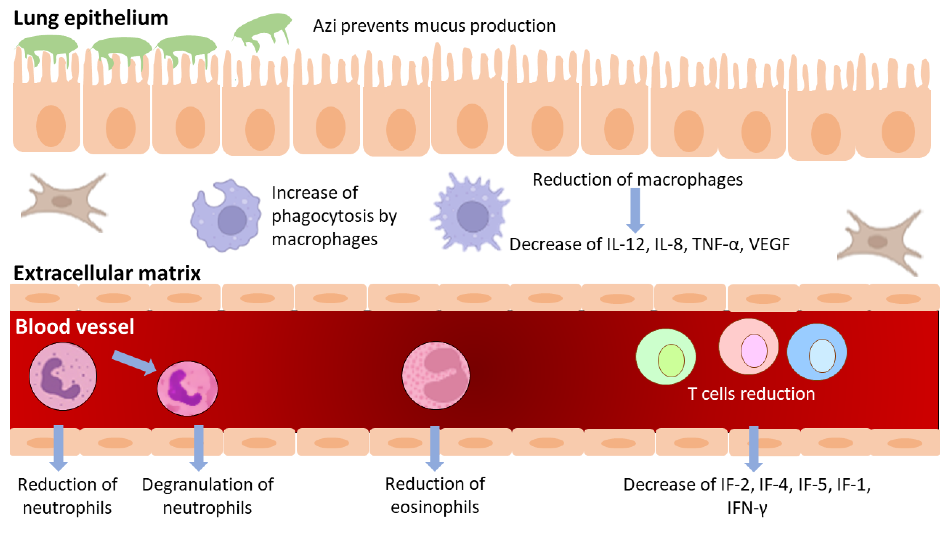 Antibiotics 11 01063 g003