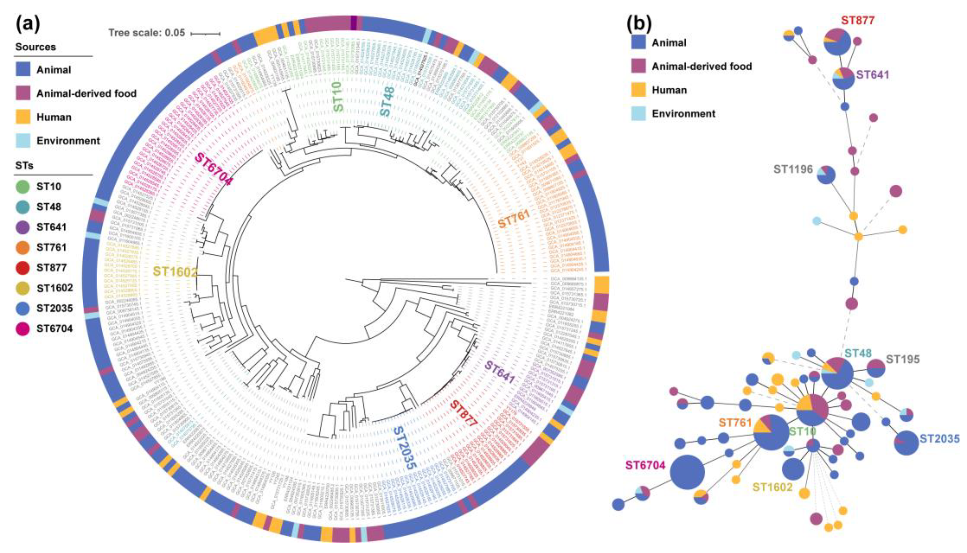 Antibiotics 11 01068 g002