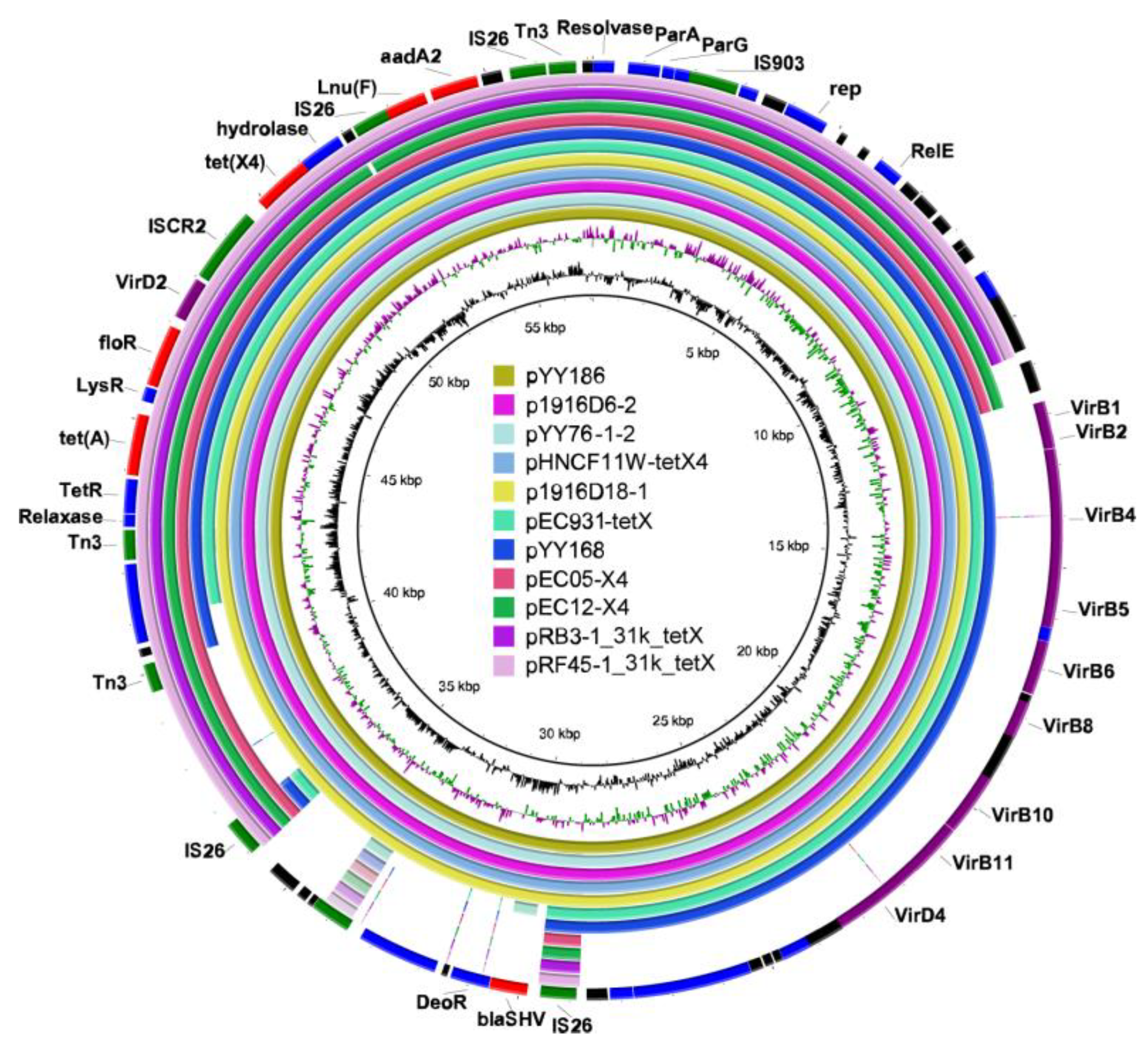 Antibiotics 11 01068 g004