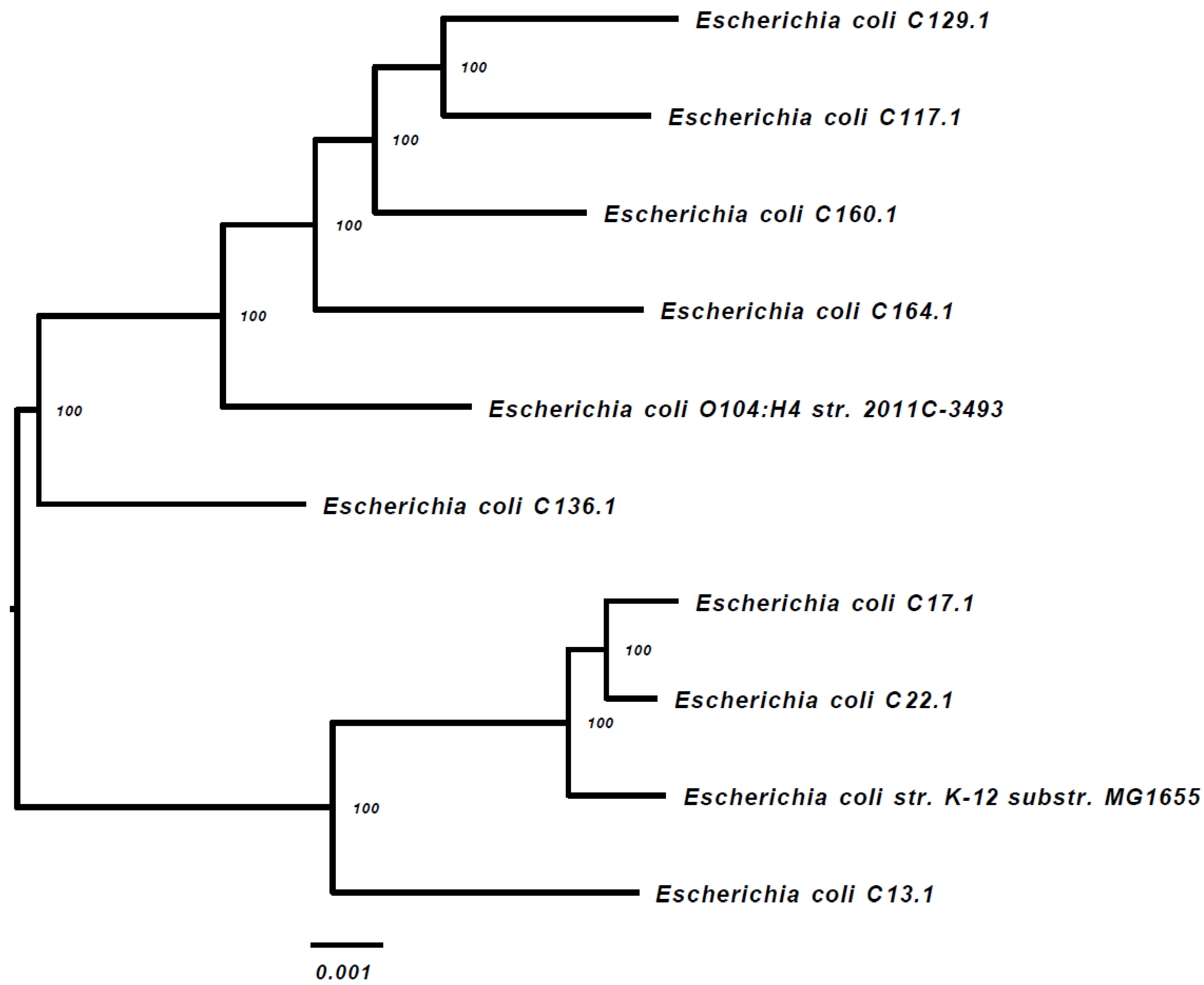 Antibiotics 11 01069 g001