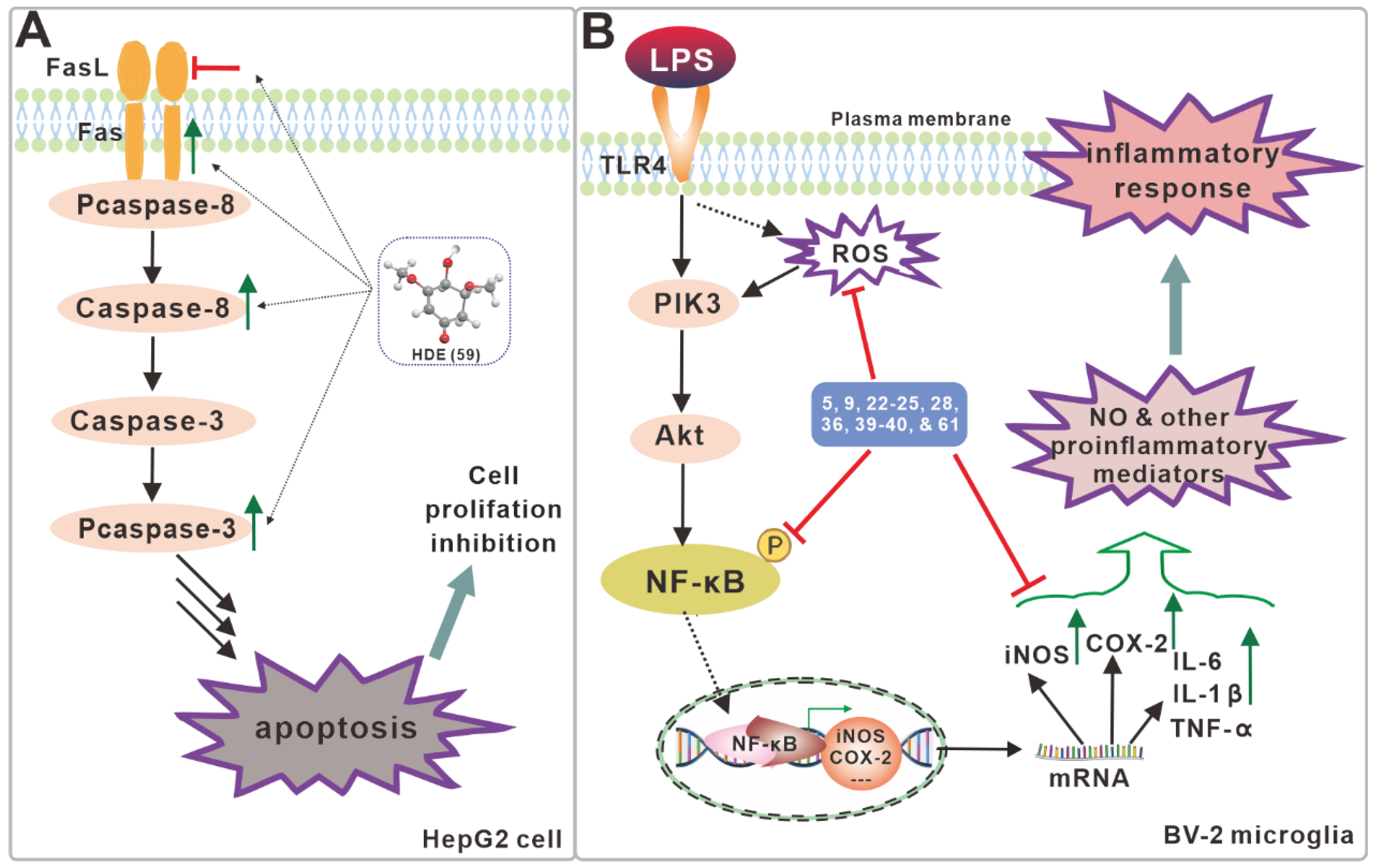 Antibiotics 11 01097 g007 Antibiotics 11 01097 g007