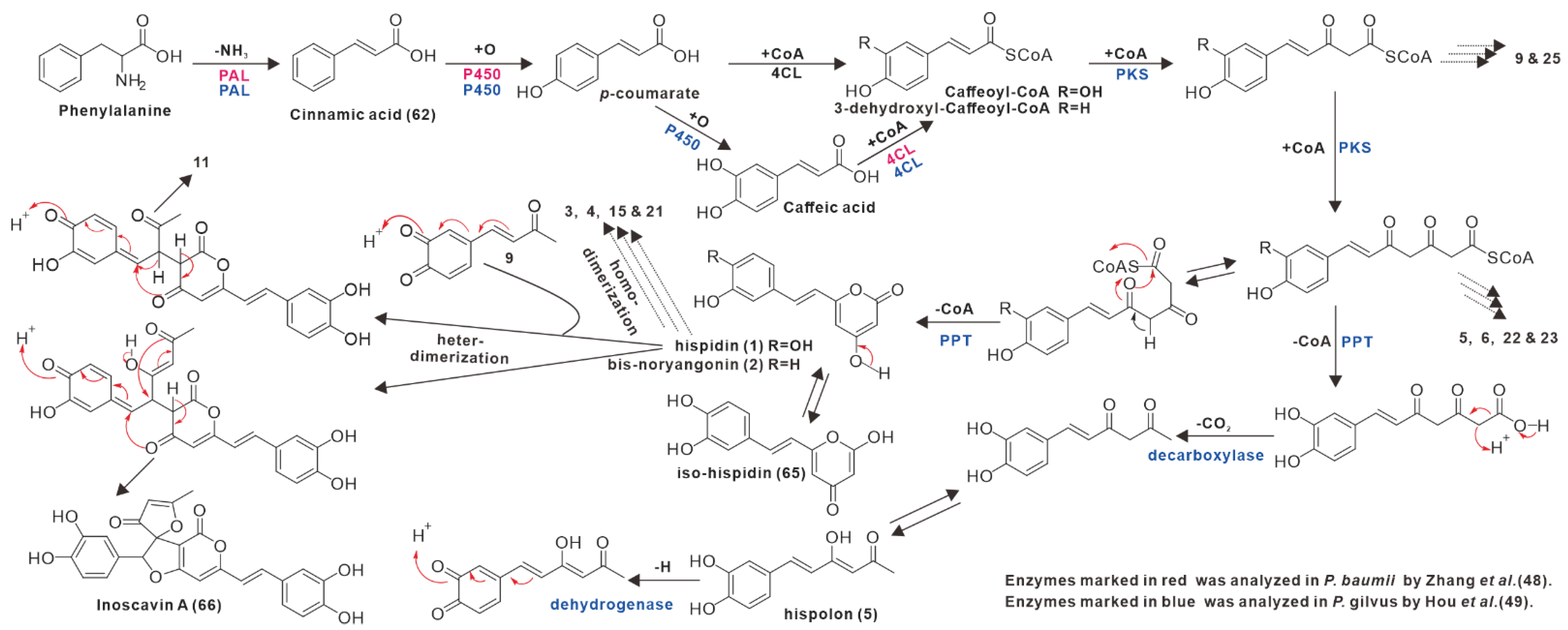Antibiotics 11 01097 g008 Antibiotics 11 01097 g008