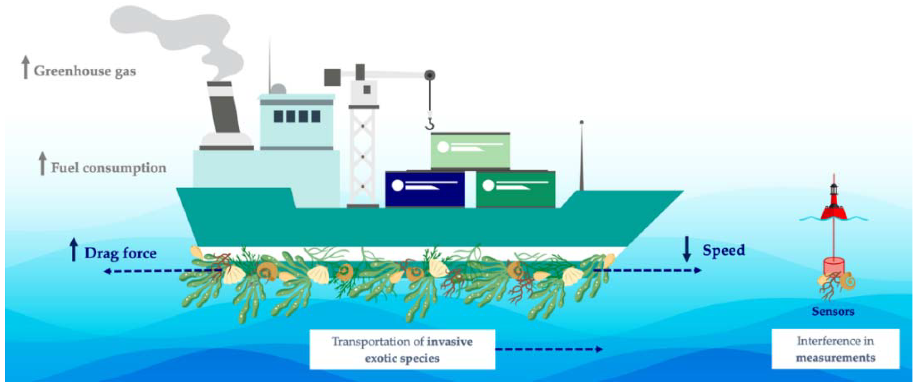 Antibiotics 11 01102 g001