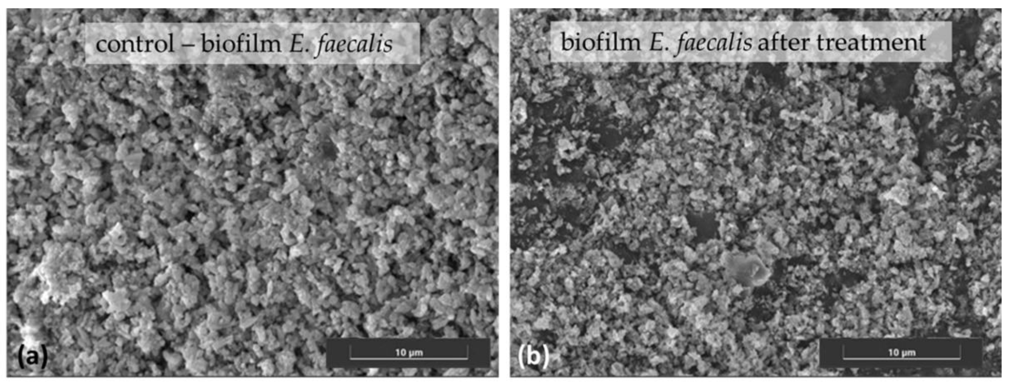 Antibiotics 11 01105 g002