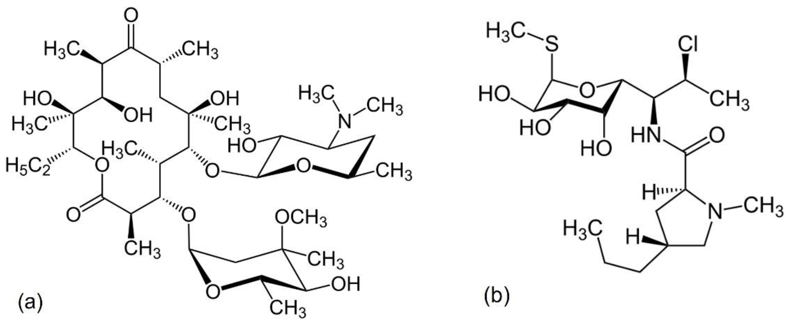 Antibiotics 11 01105 g010