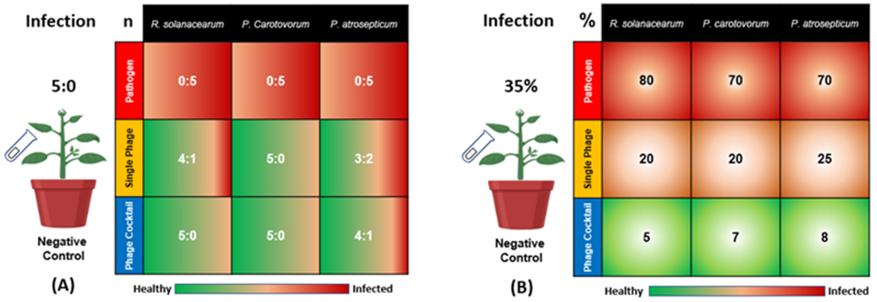 Antibiotics 11 01117 g001
