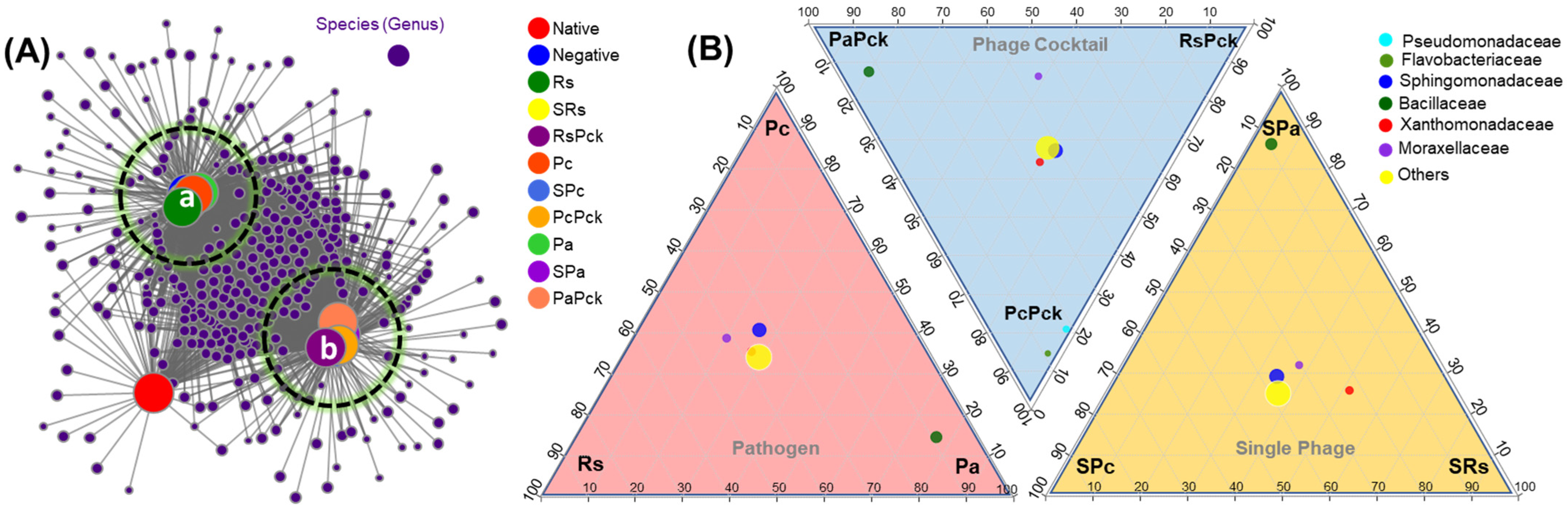 Antibiotics 11 01117 g004