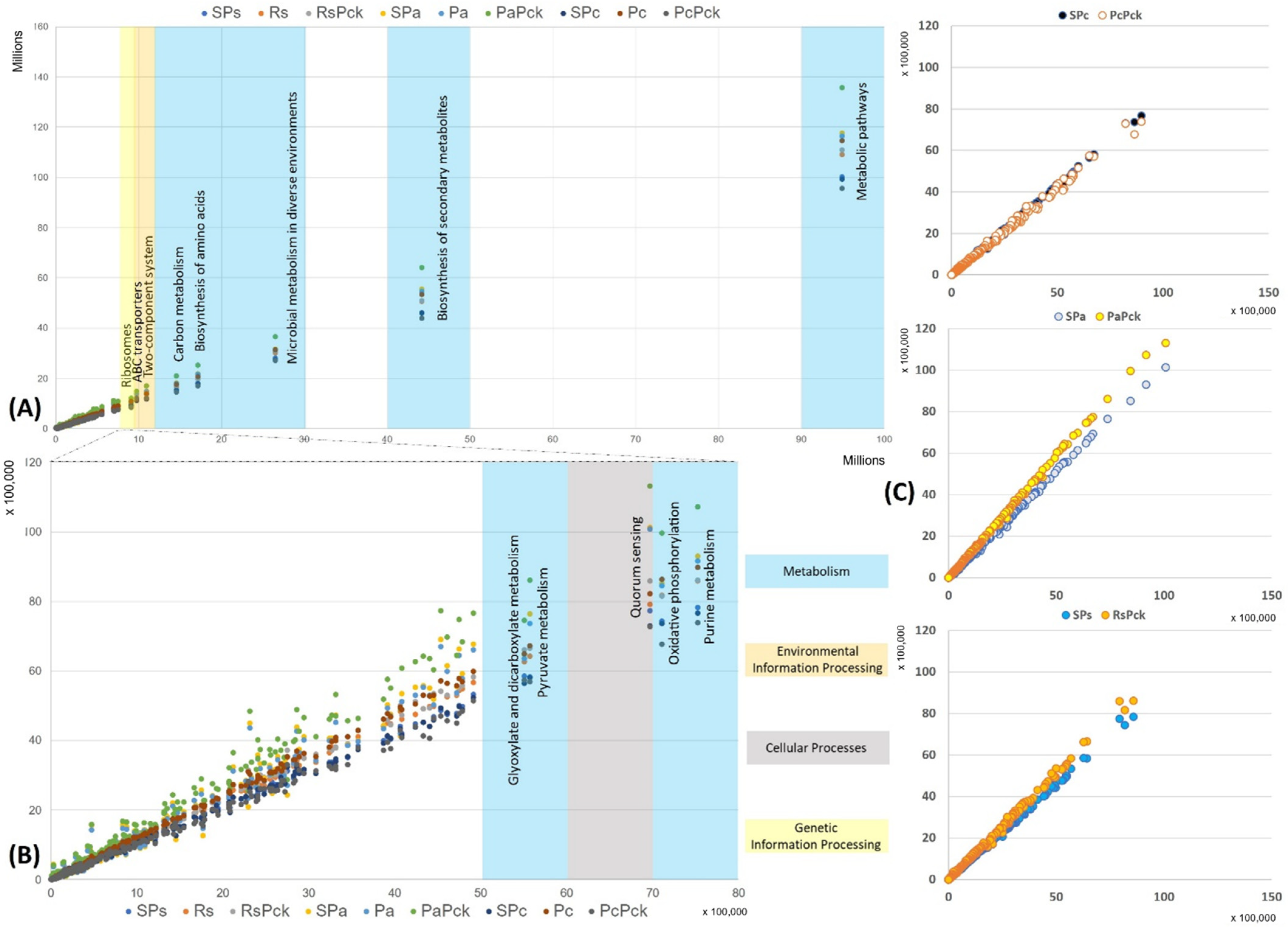 Antibiotics 11 01117 g006