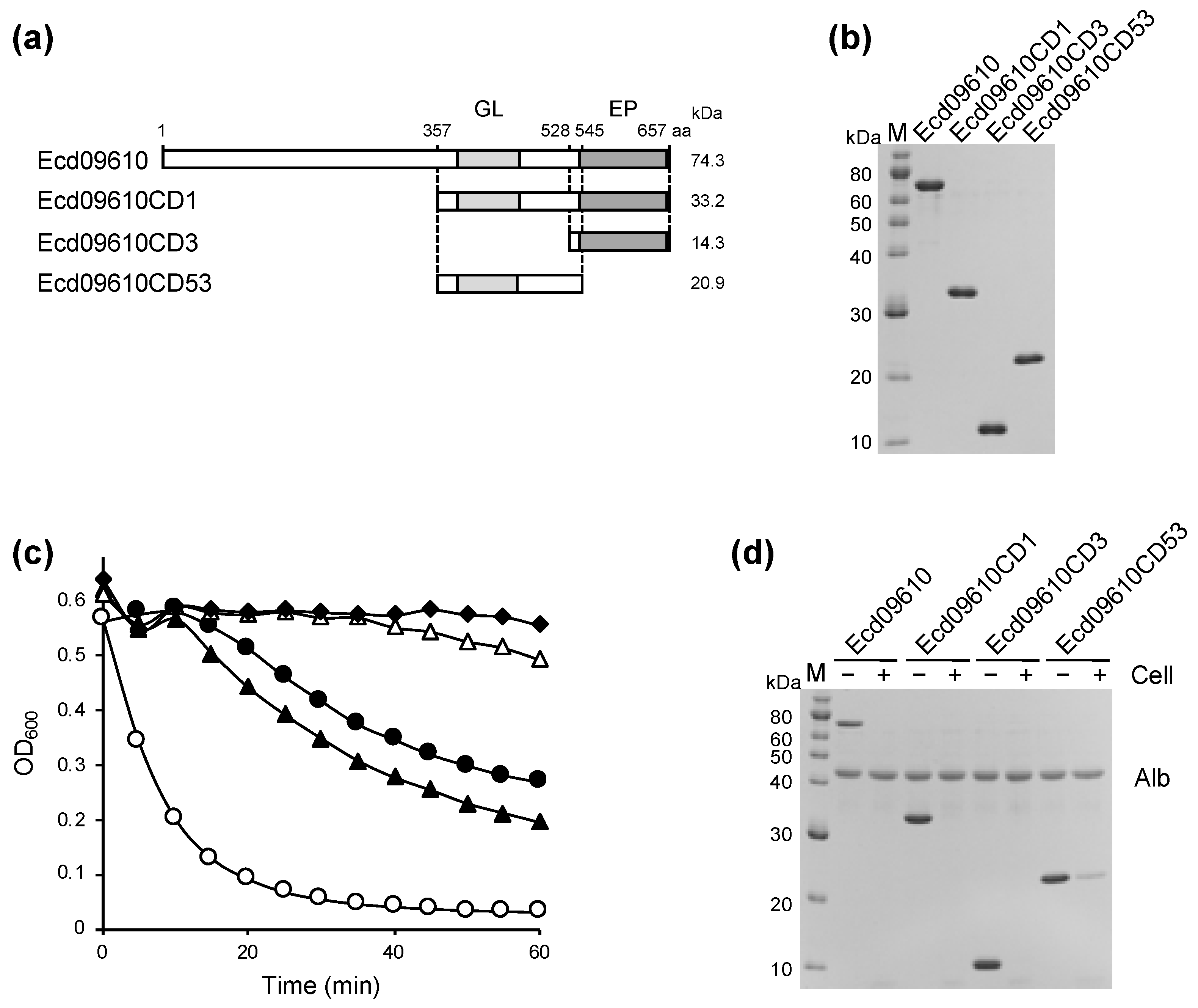 Antibiotics 11 01131 g001