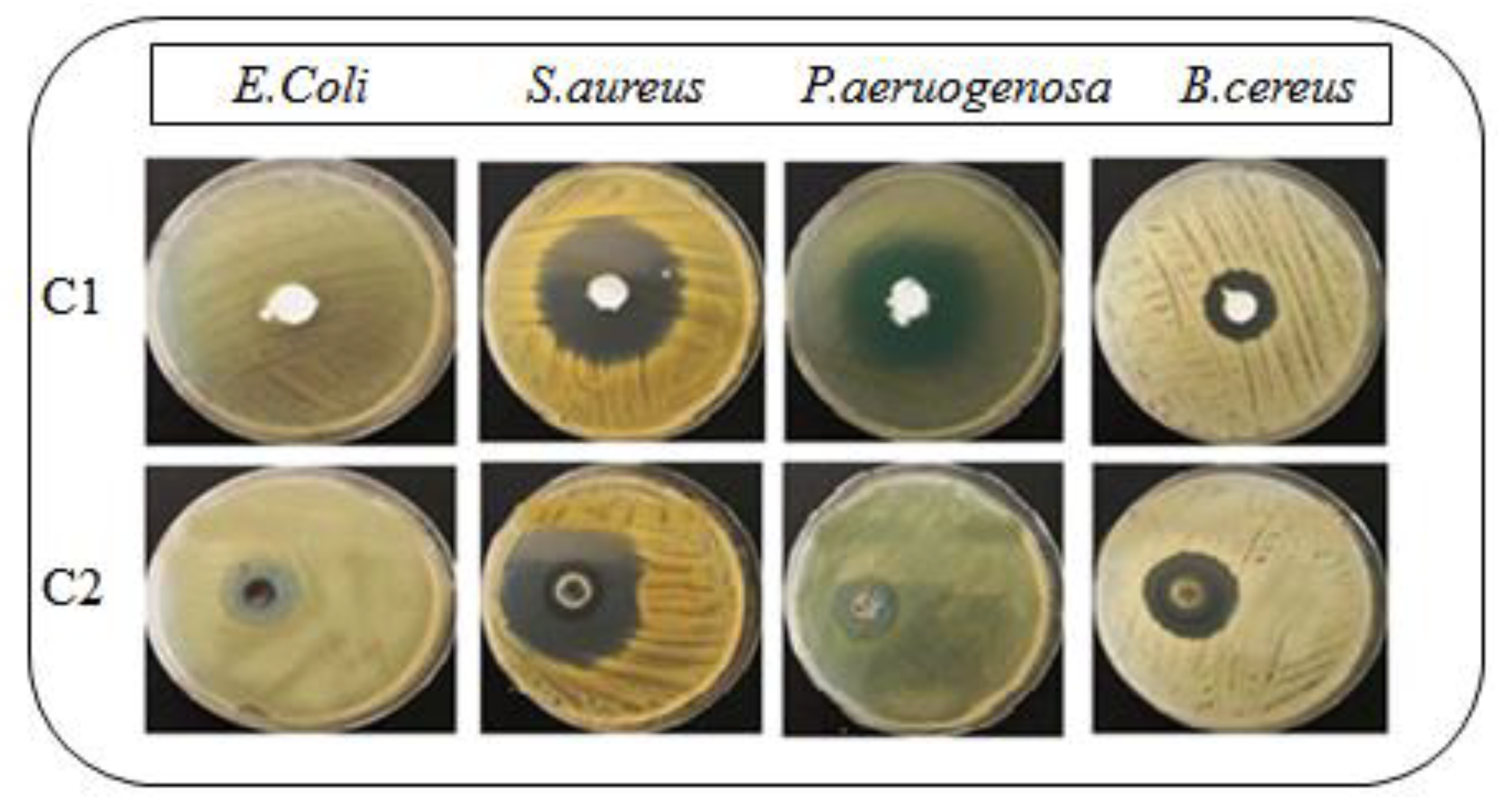 Antibiotics 11 01151 g005