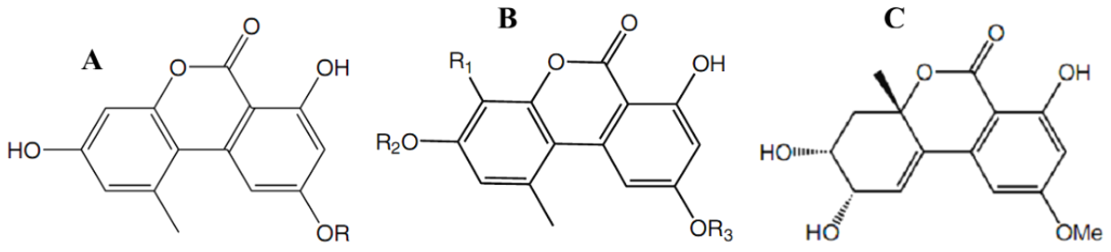 Antibiotics 11 01156 g004