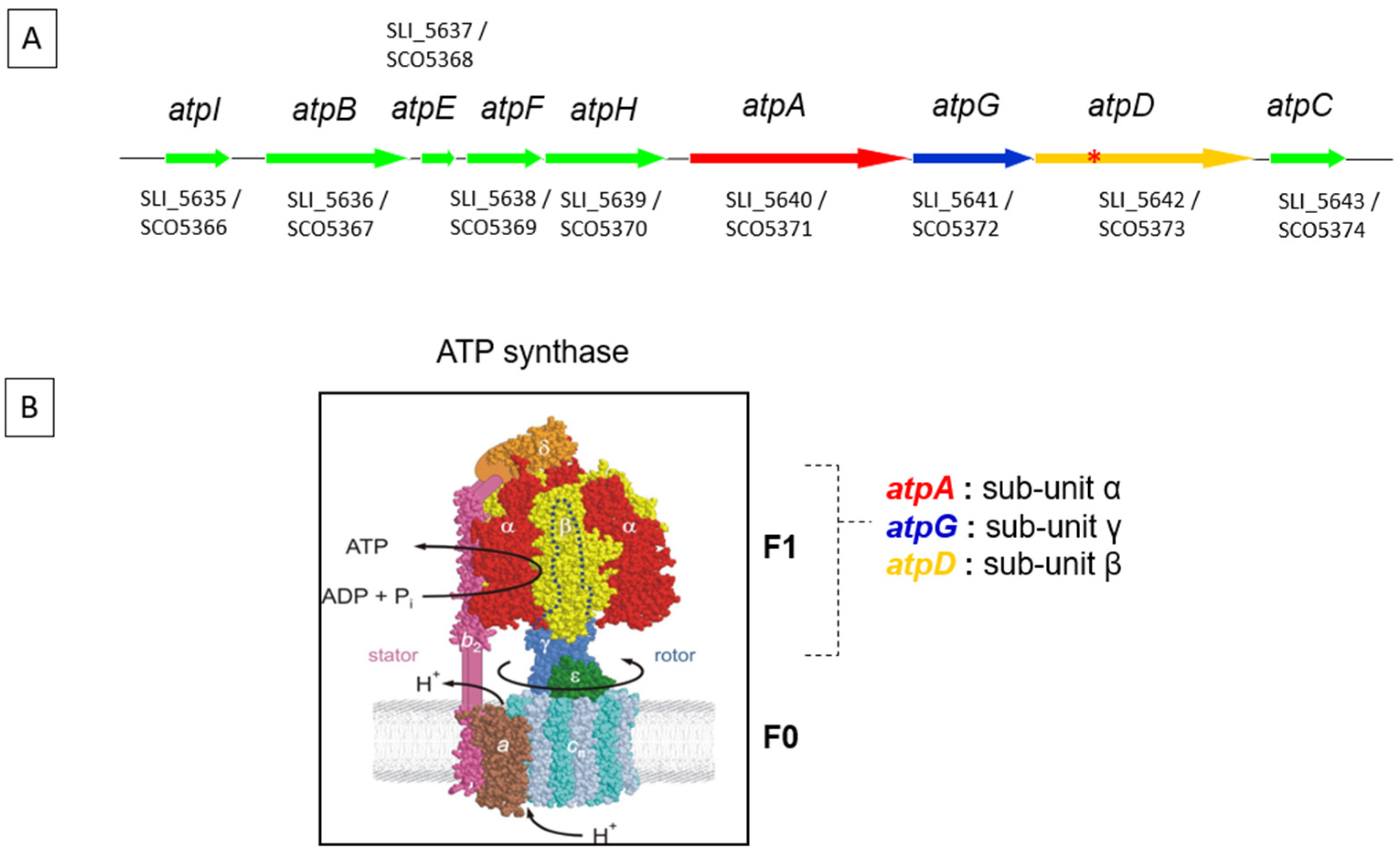 Antibiotics 11 01157 g001