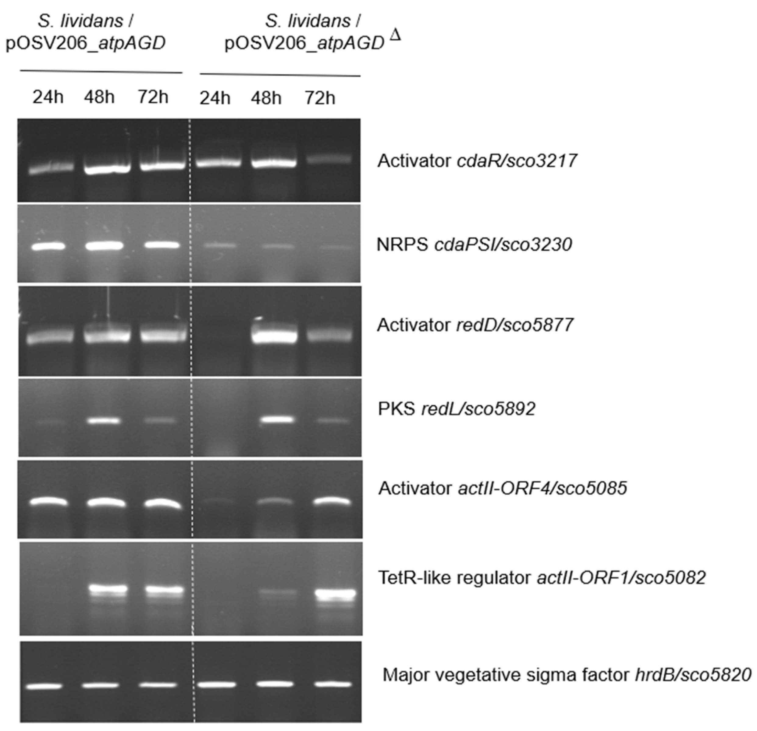 Antibiotics 11 01157 g003