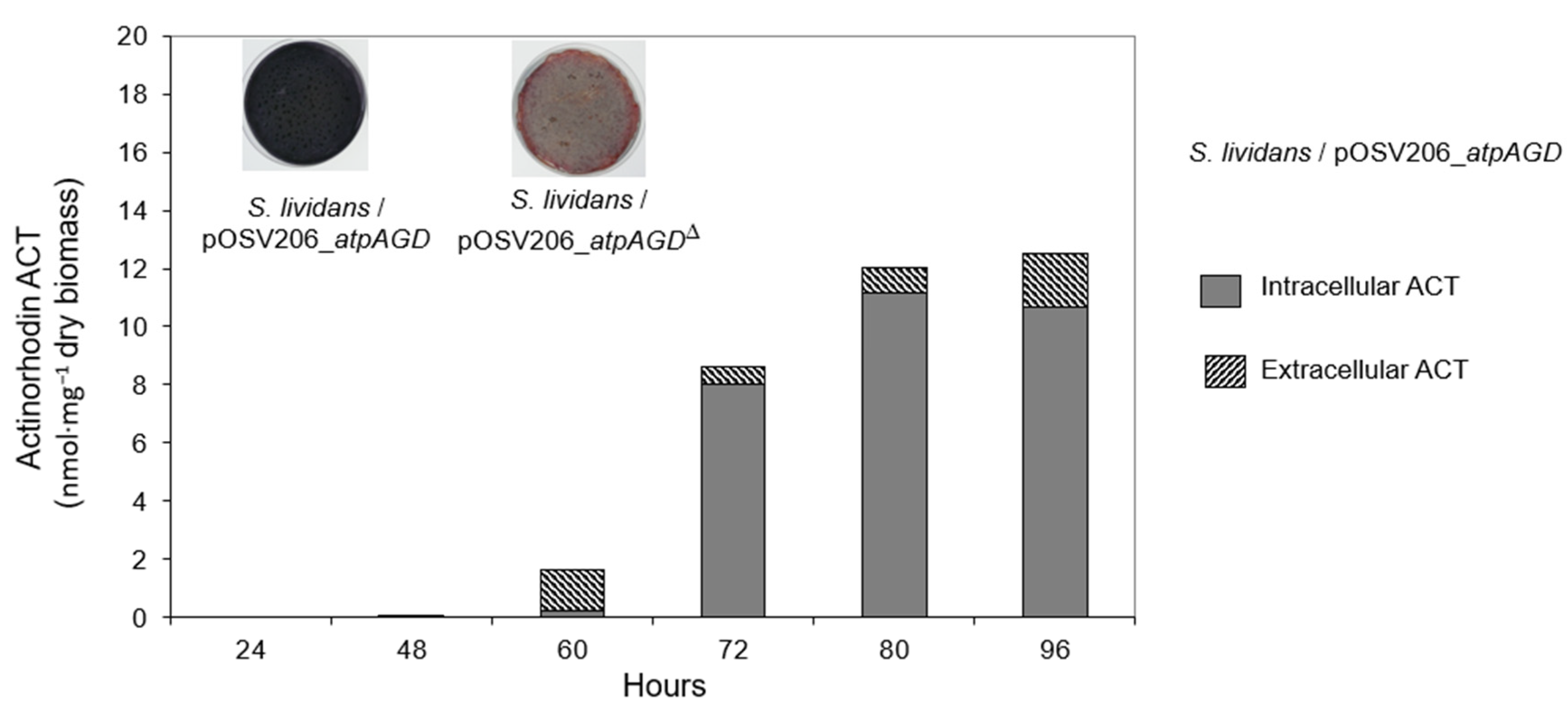 Antibiotics 11 01157 g005