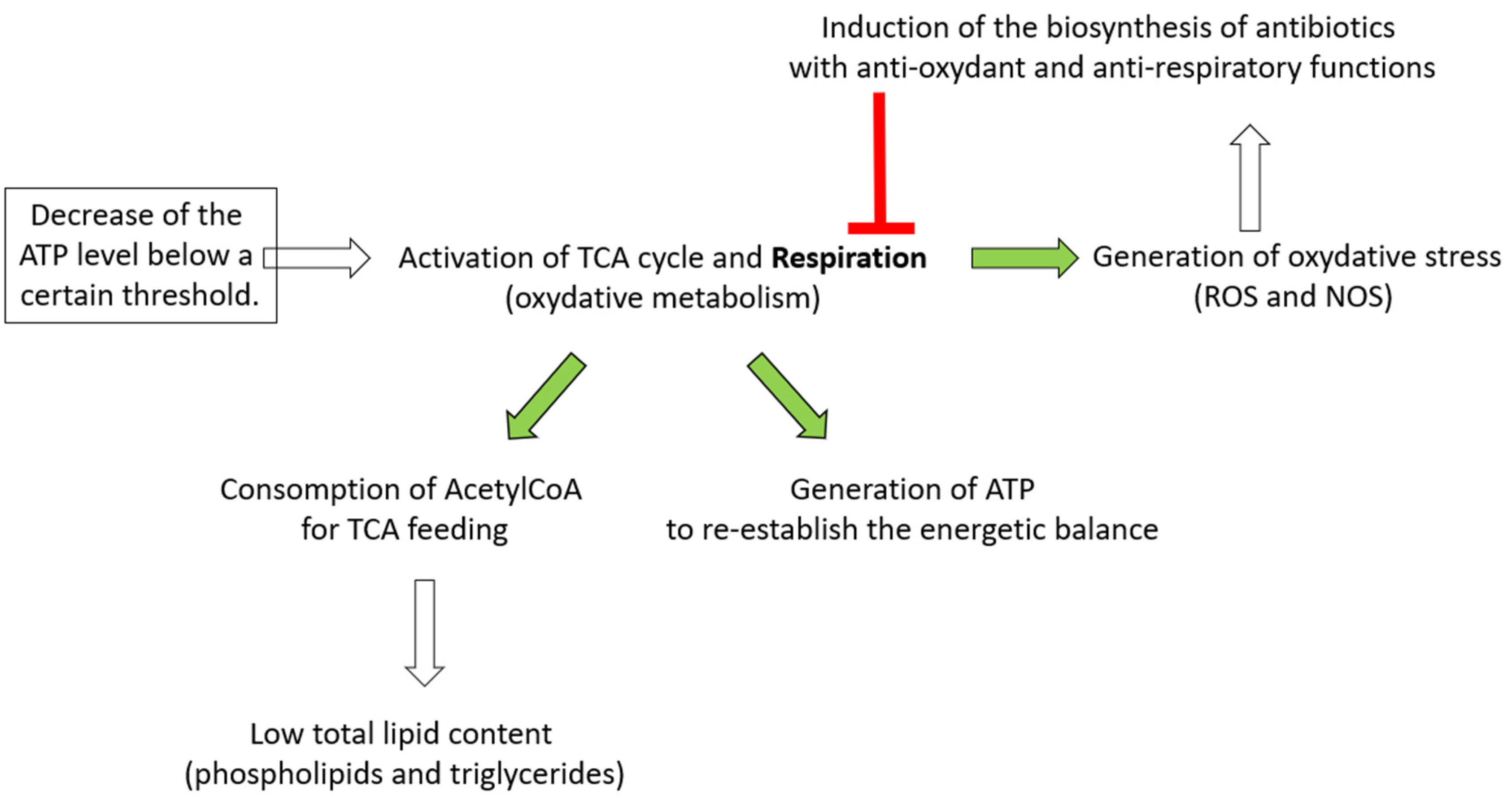 Antibiotics 11 01157 g007