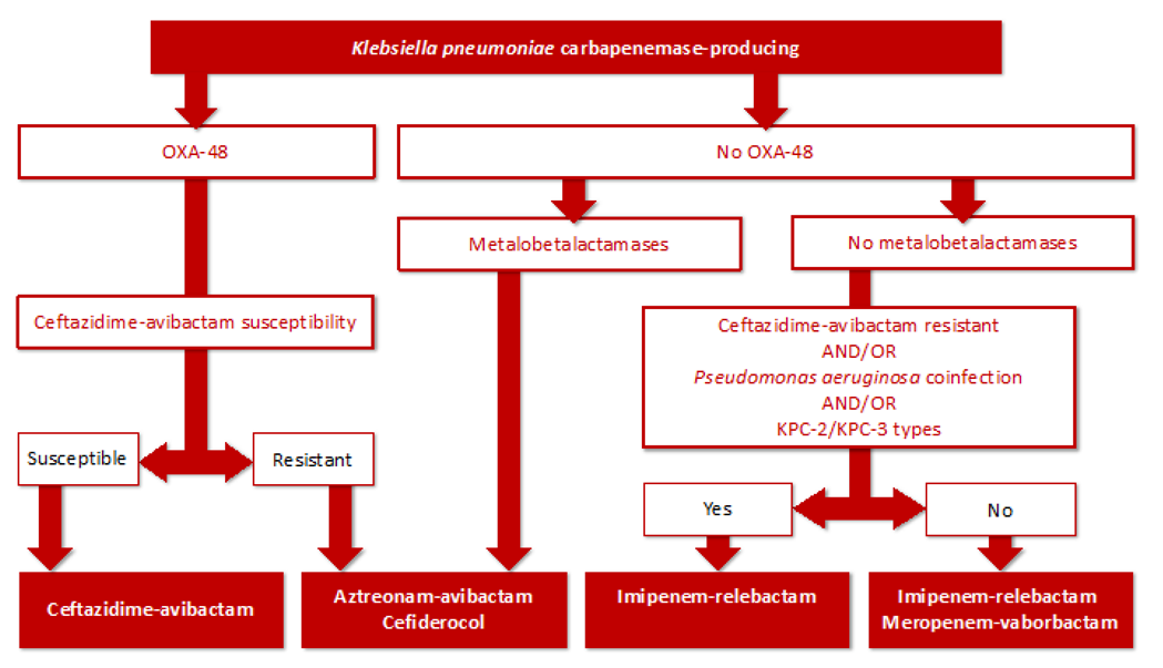 Antibiotics 11 01160 g003