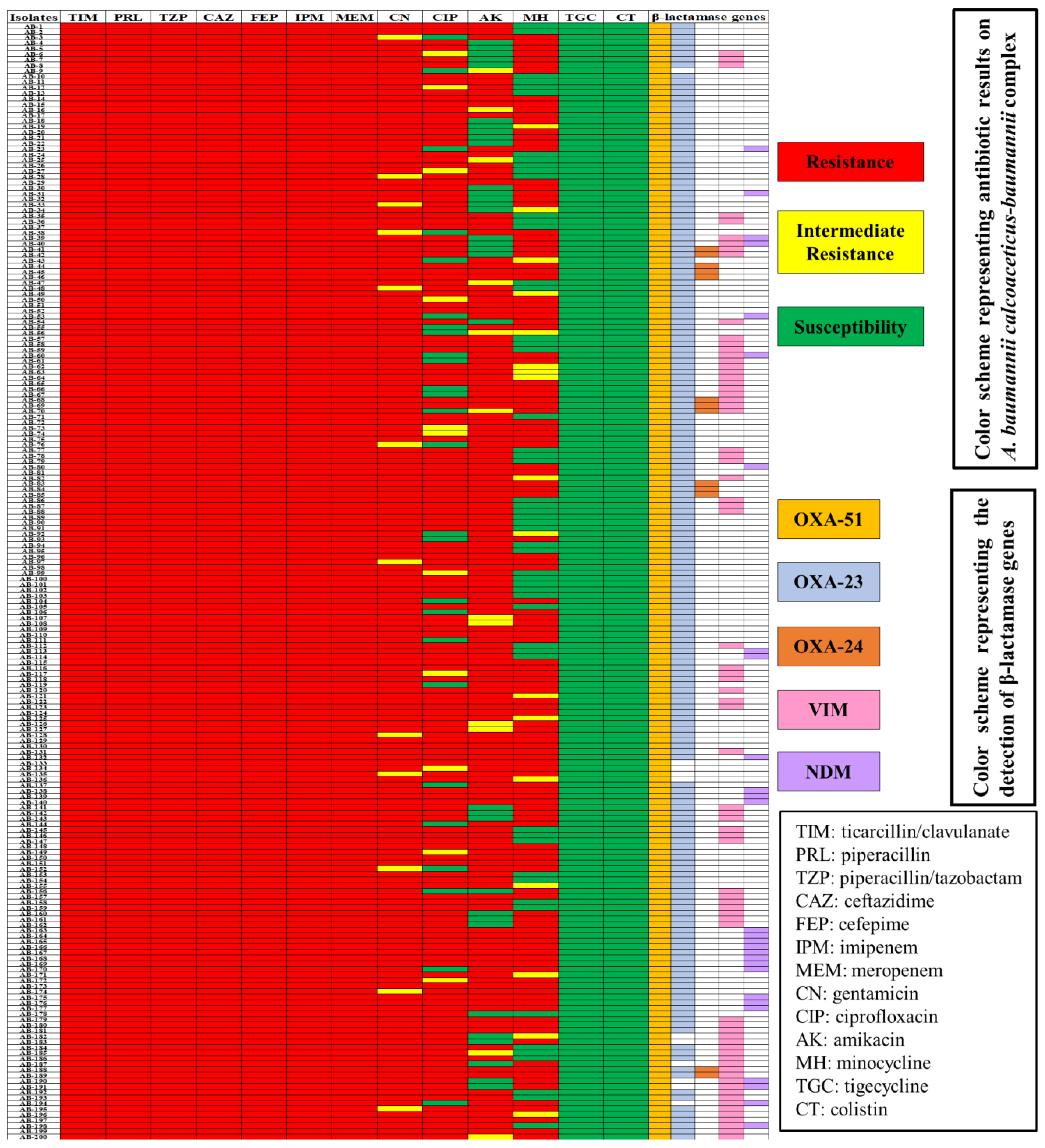 Antibiotics 11 01168 g004