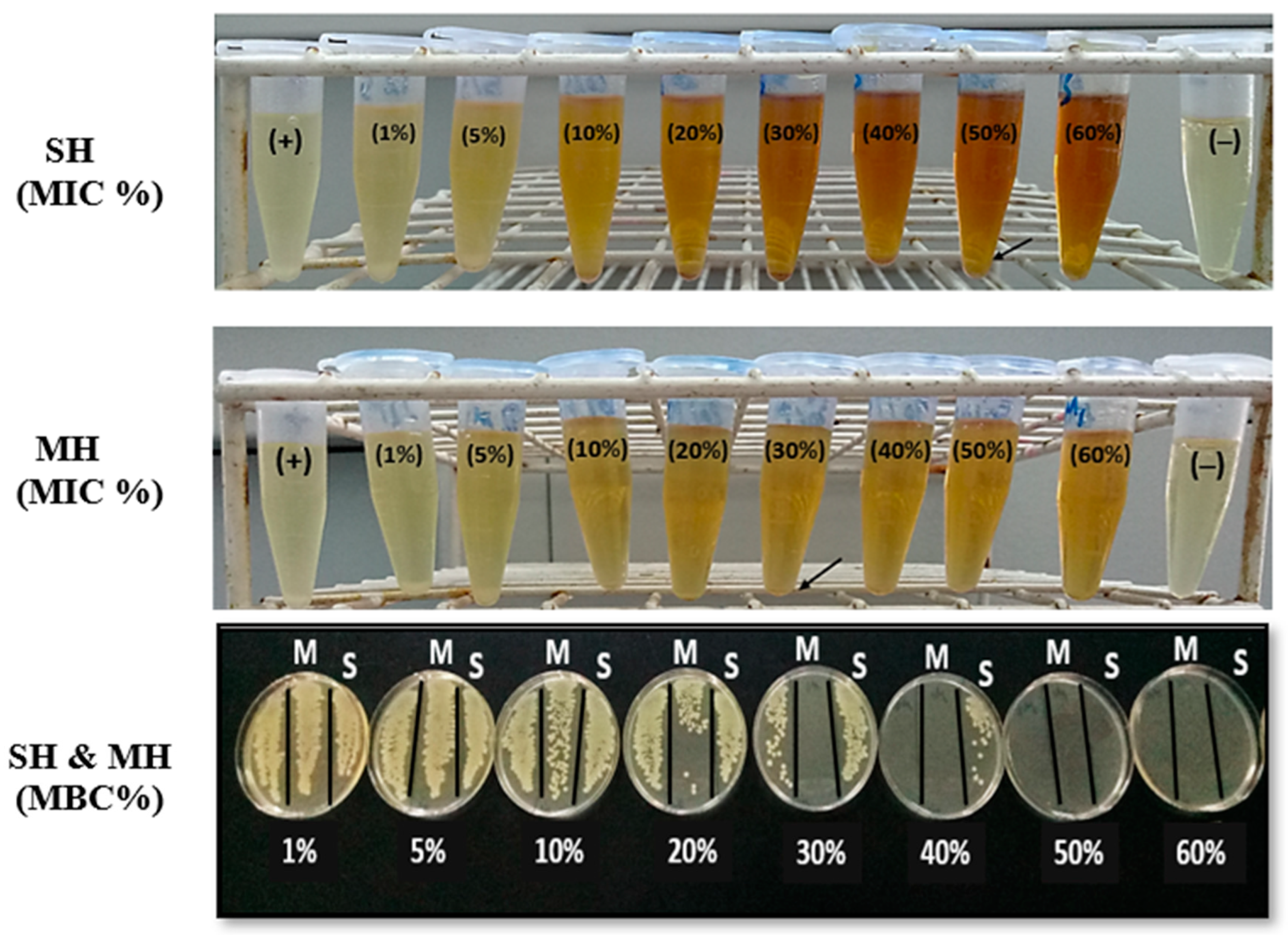 Antibiotics 11 01182 g001
