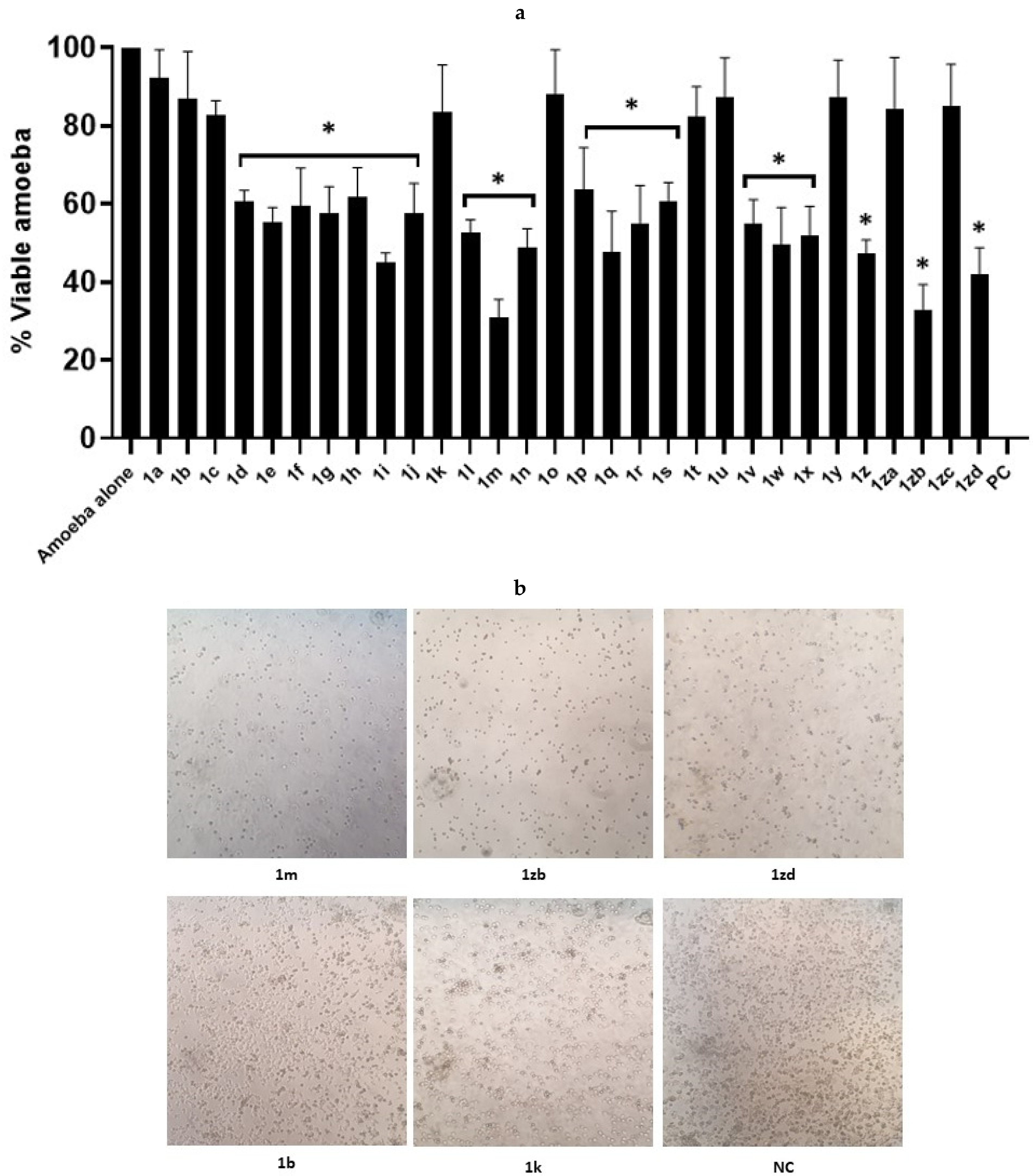 Antibiotics 11 01183 g001