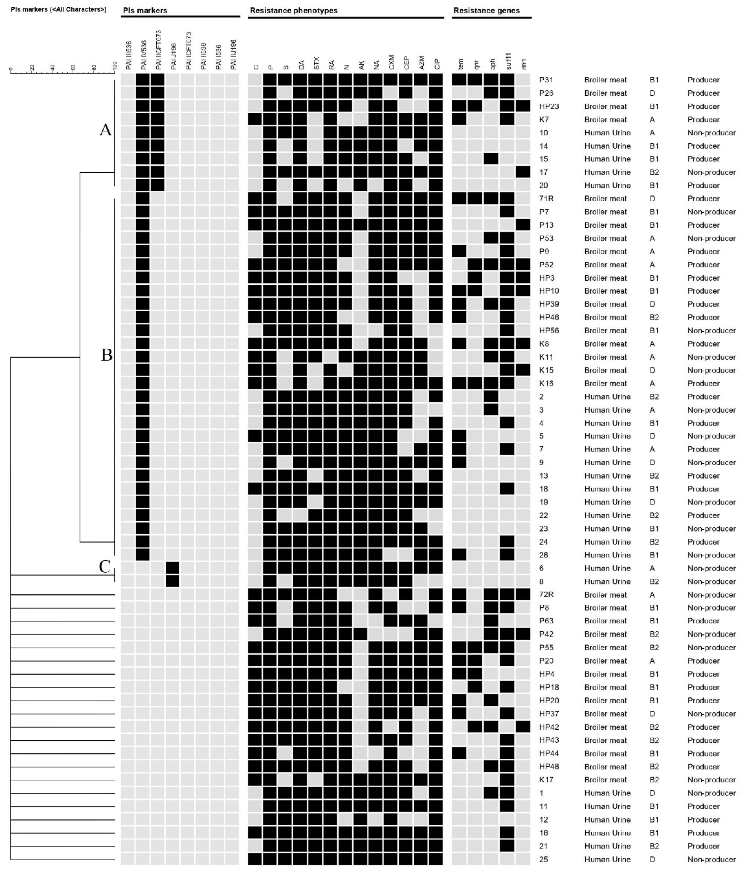 Antibiotics 11 01197 g005