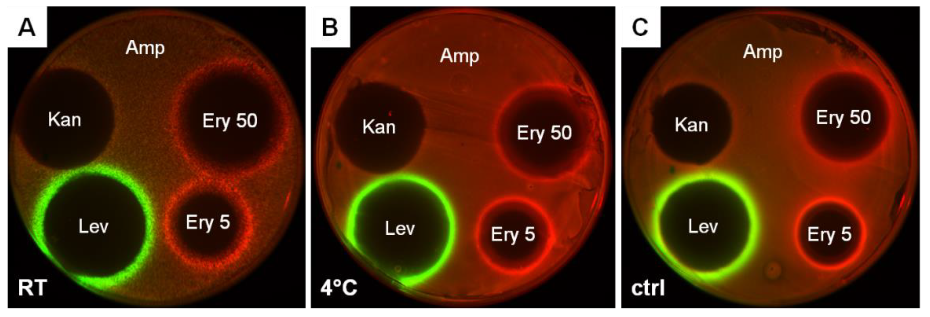 Antibiotics 11 01198 g003