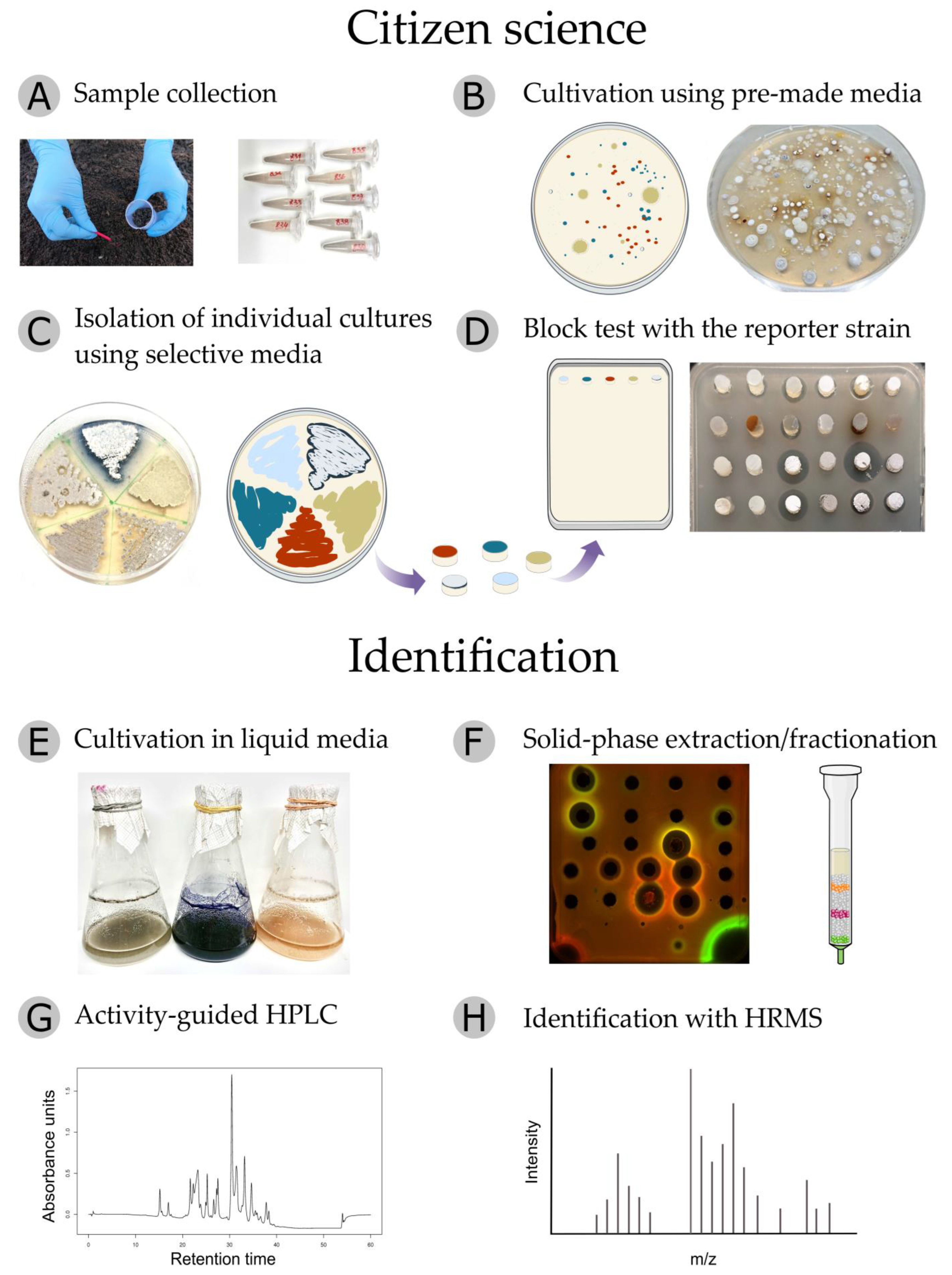 Antibiotics 11 01198 g004