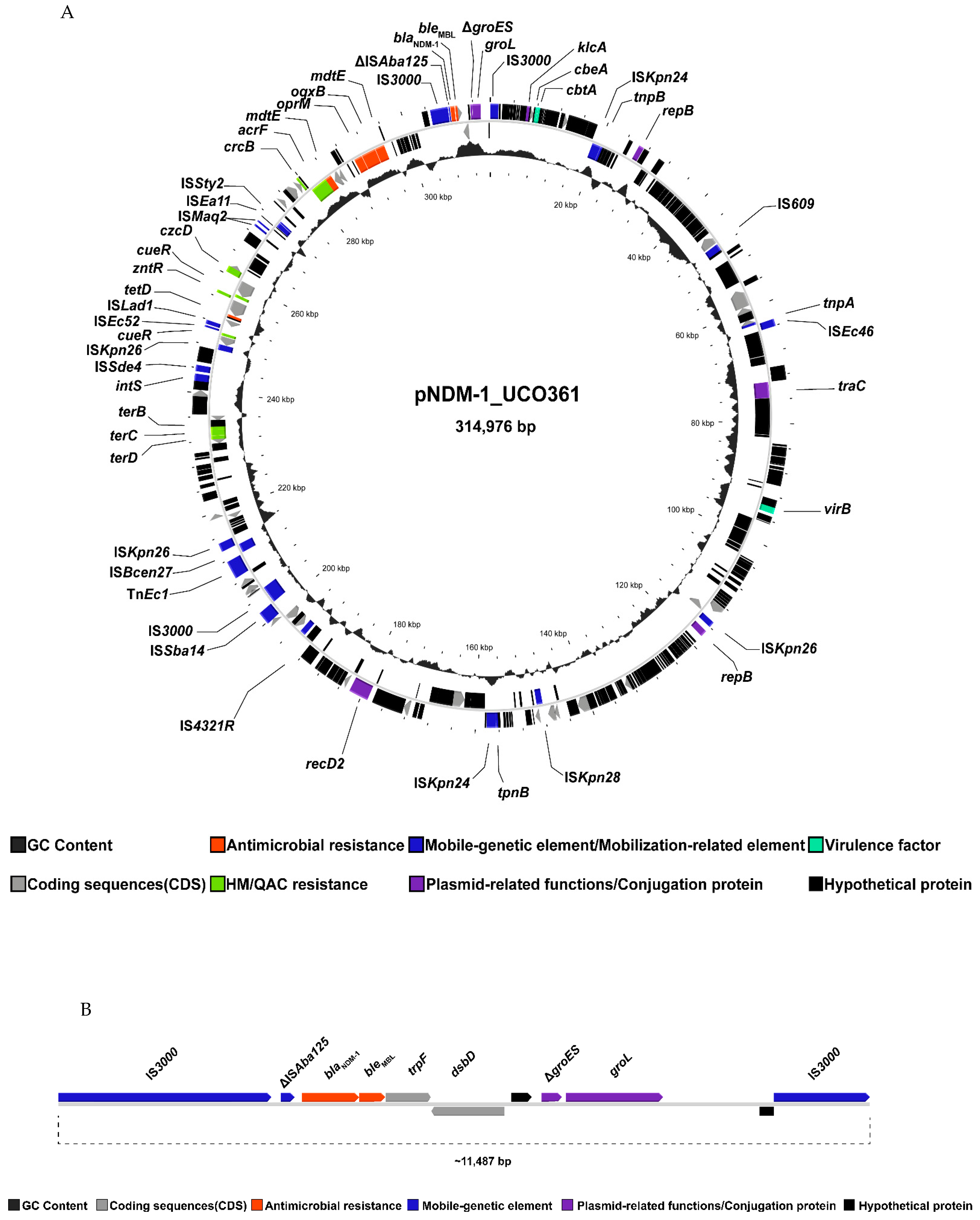 Antibiotics 11 01207 g001