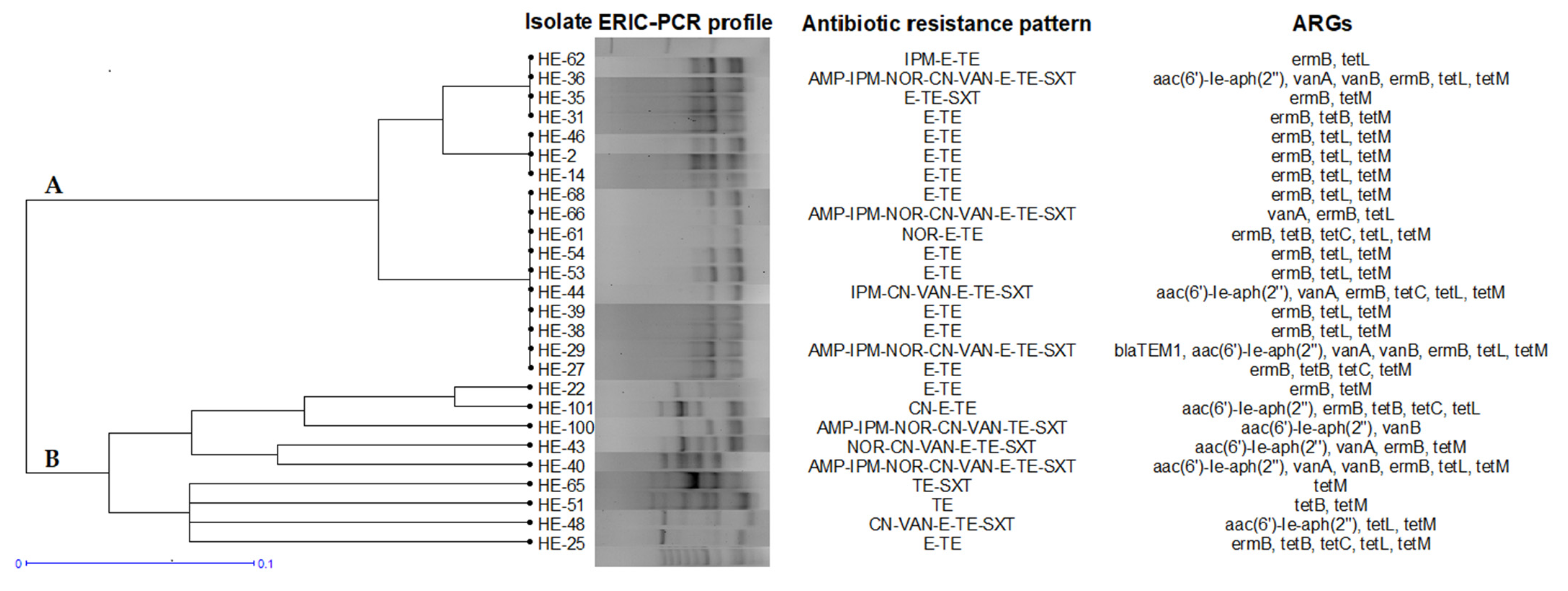 Antibiotics 11 01213 g003