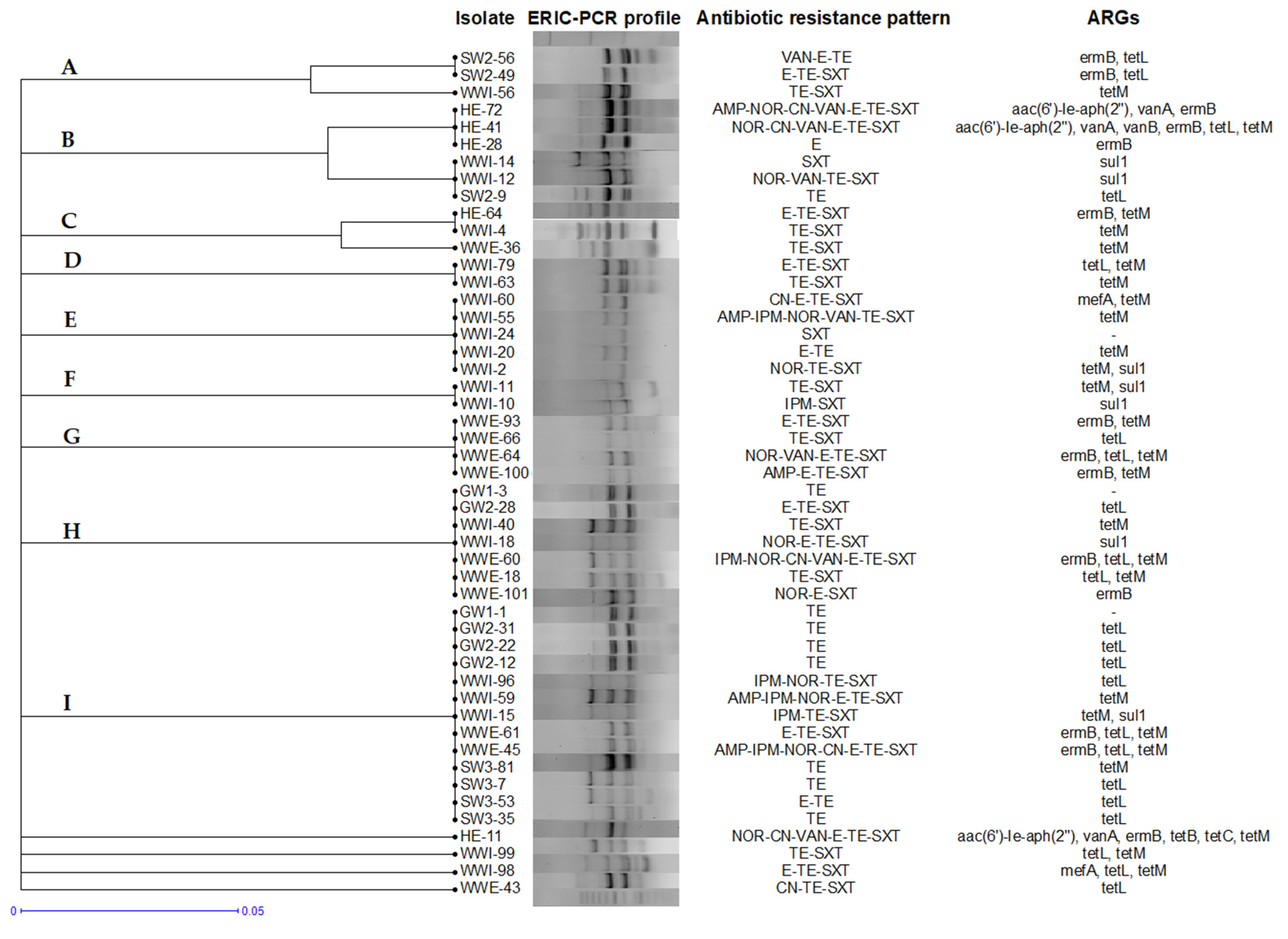Antibiotics 11 01213 g004
