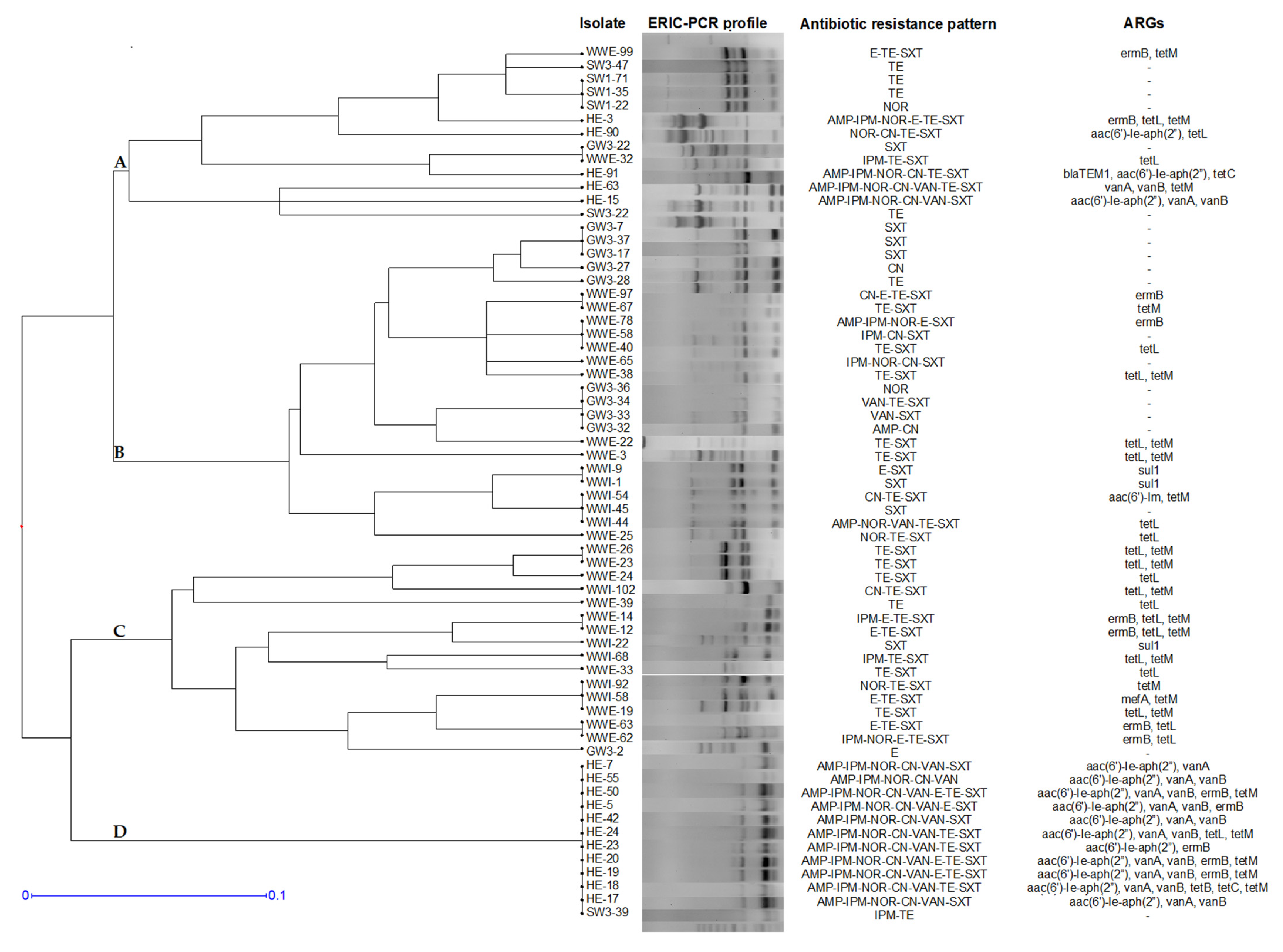 Antibiotics 11 01213 g005