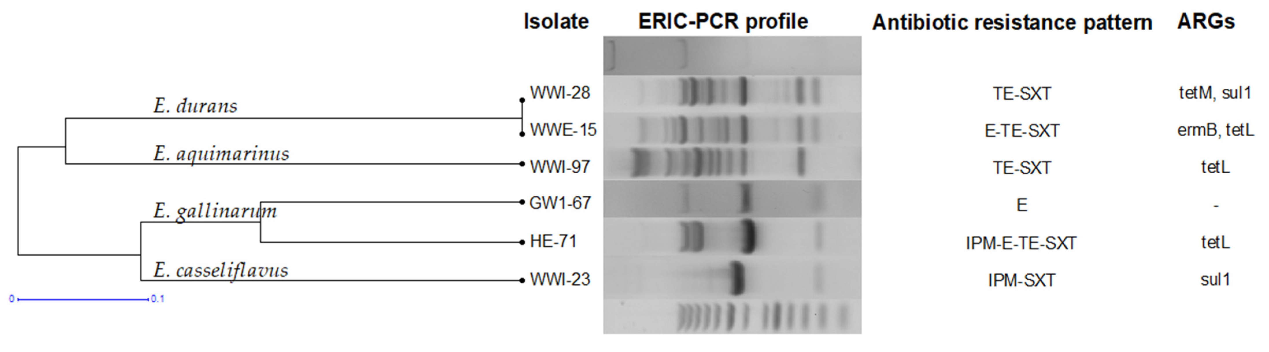 Antibiotics 11 01213 g006