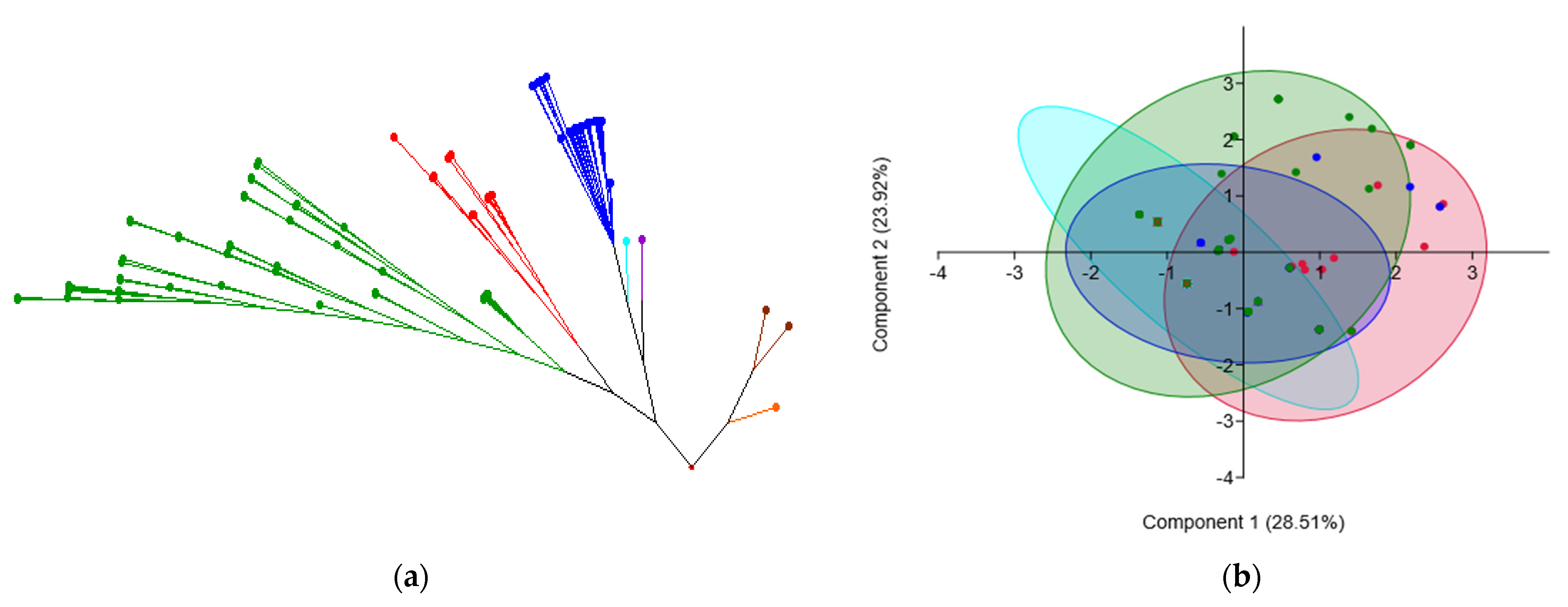 Antibiotics 11 01213 g007