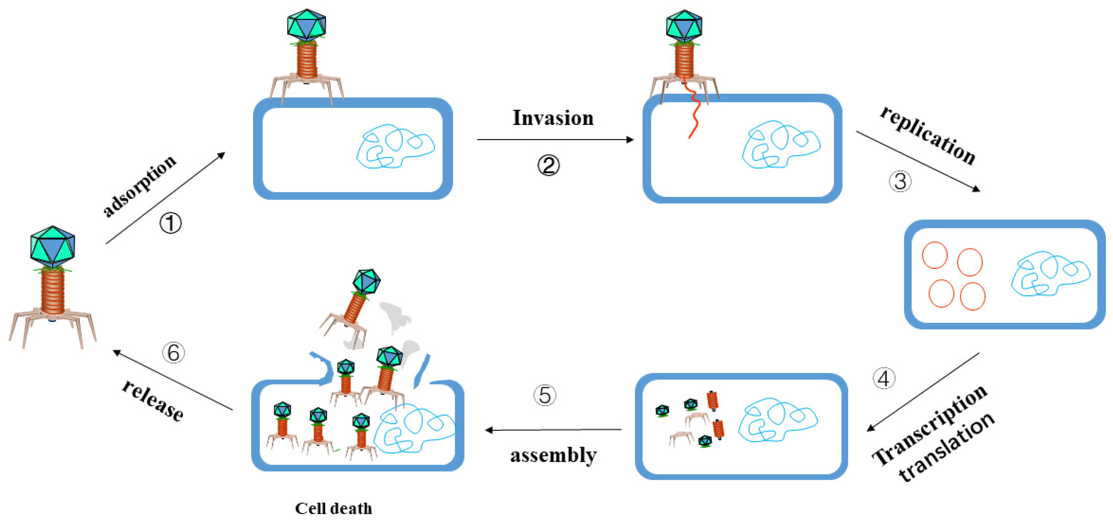 Antibiotics 11 01215 g002