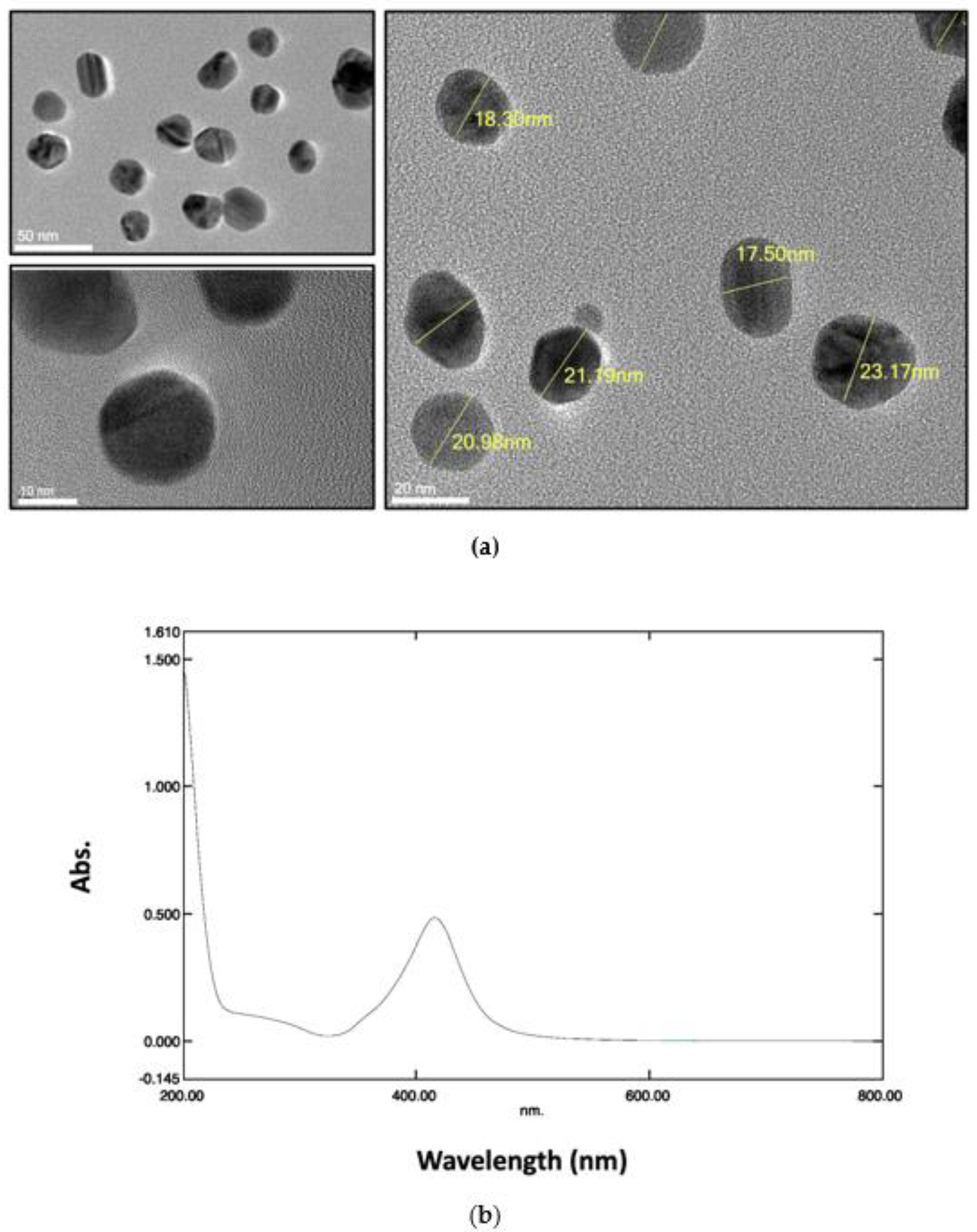 Antibiotics 11 01219 g001