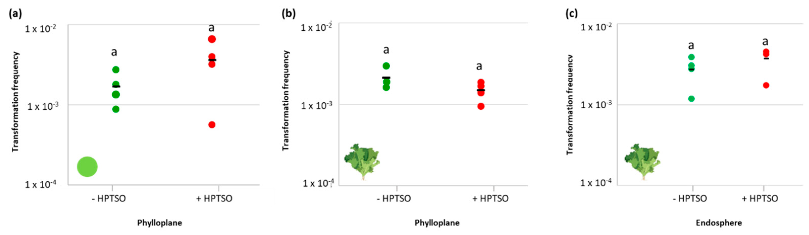 Antibiotics 11 01231 g004