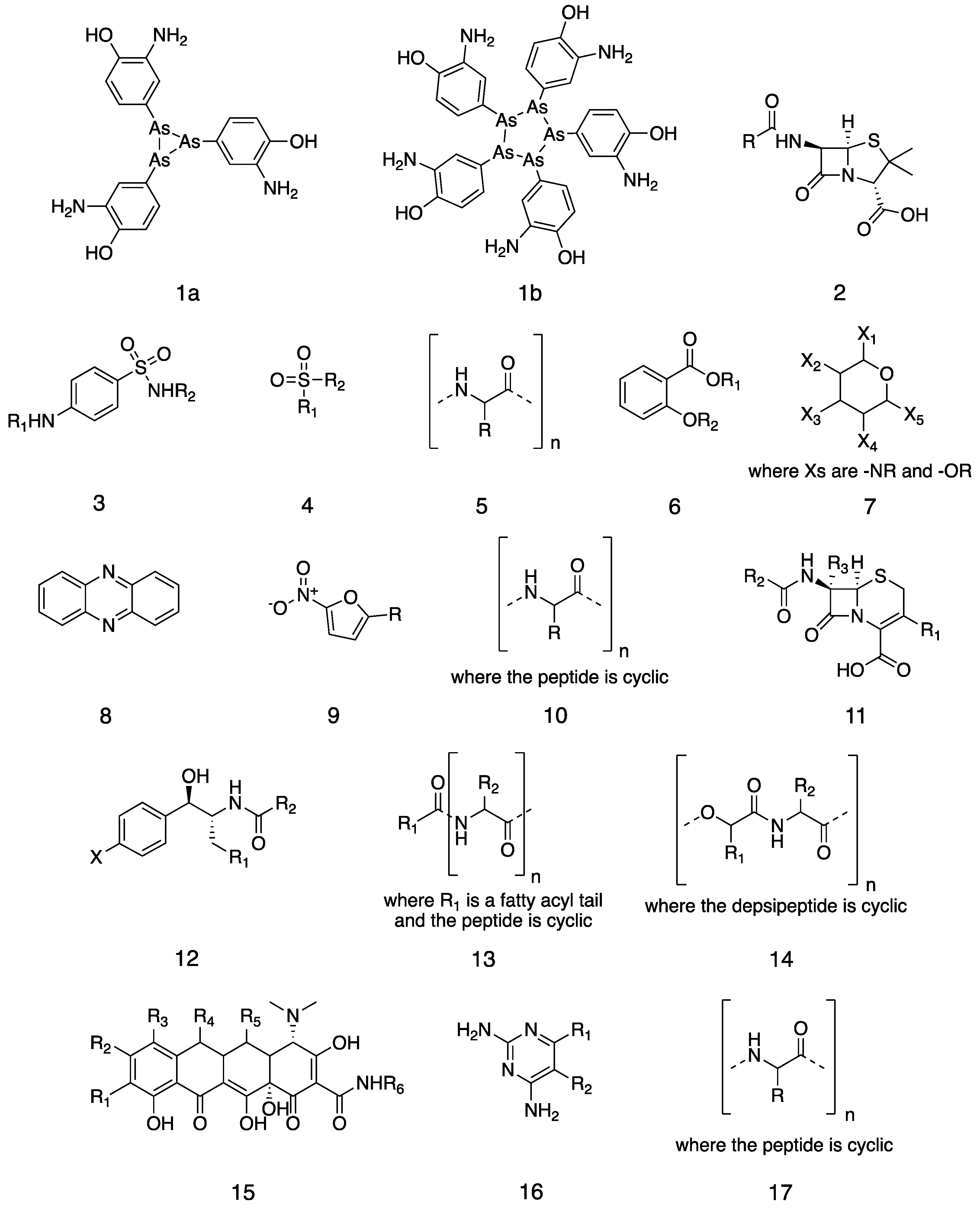 Antibiotics 11 01237 g001a