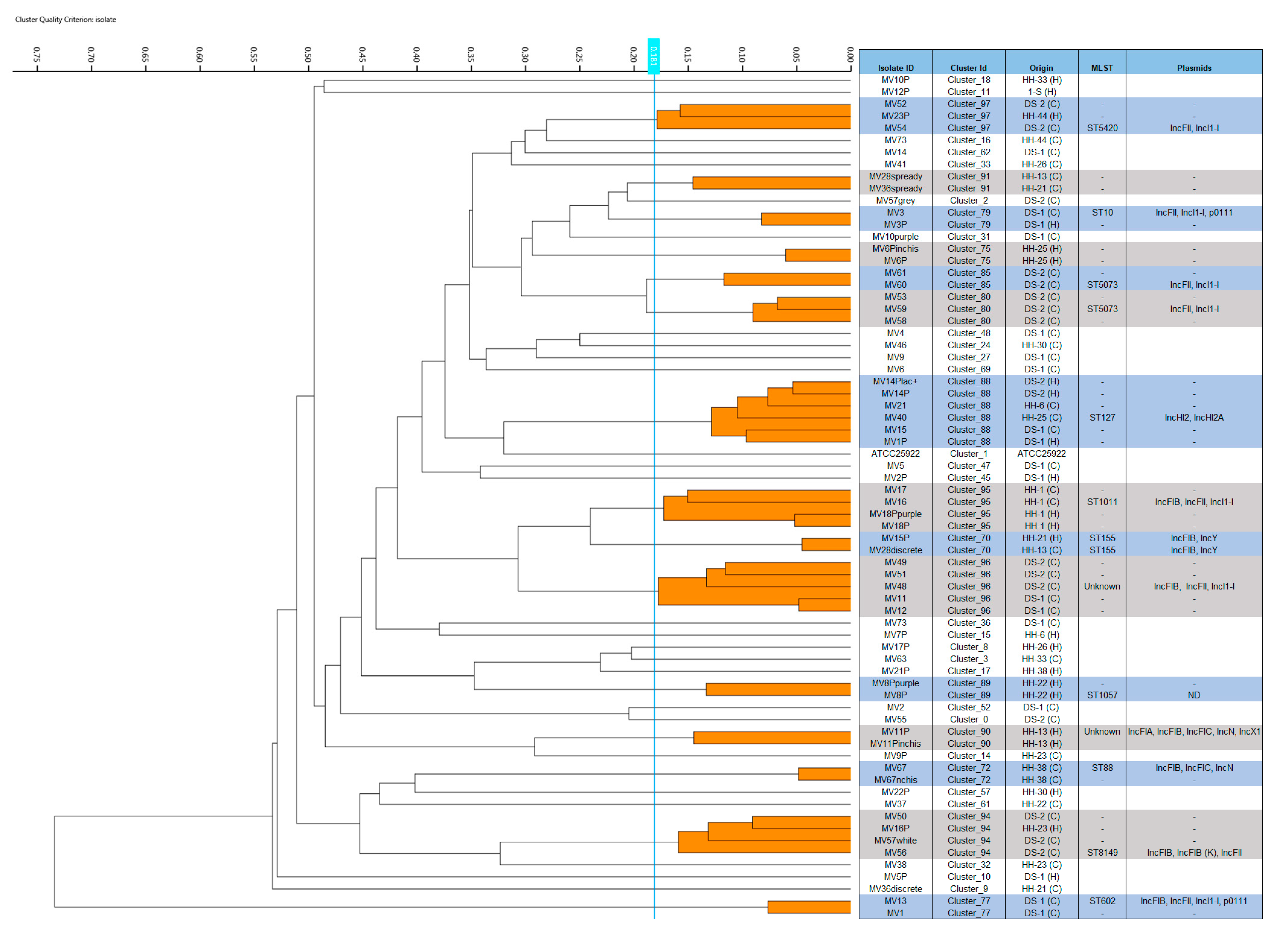 Antibiotics 11 01242 g001