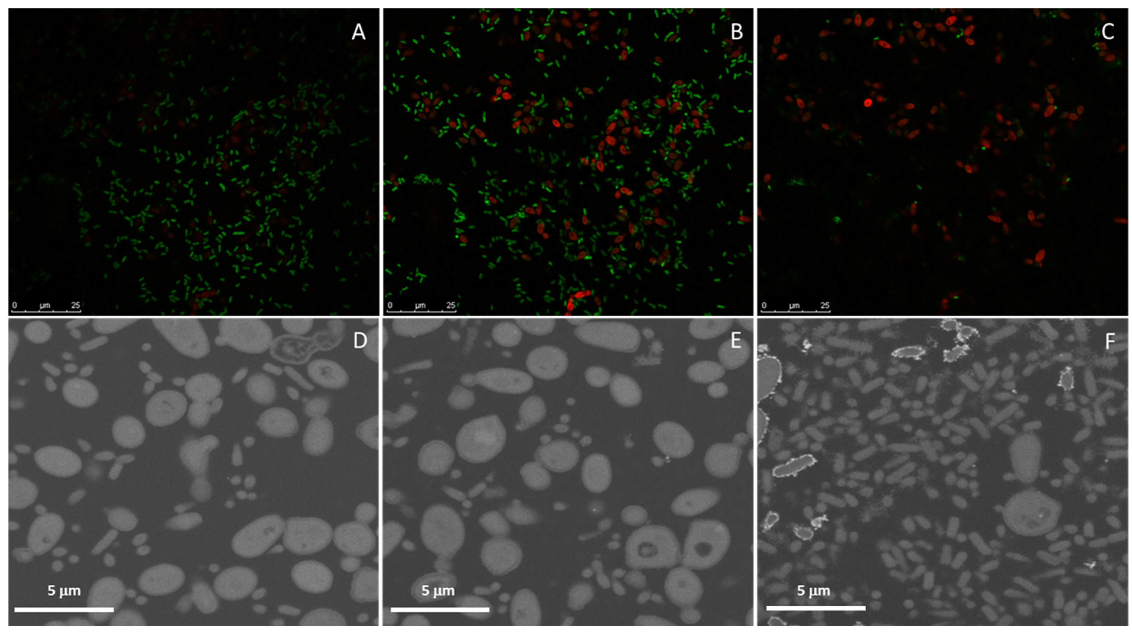 Antibiotics 11 01245 g005