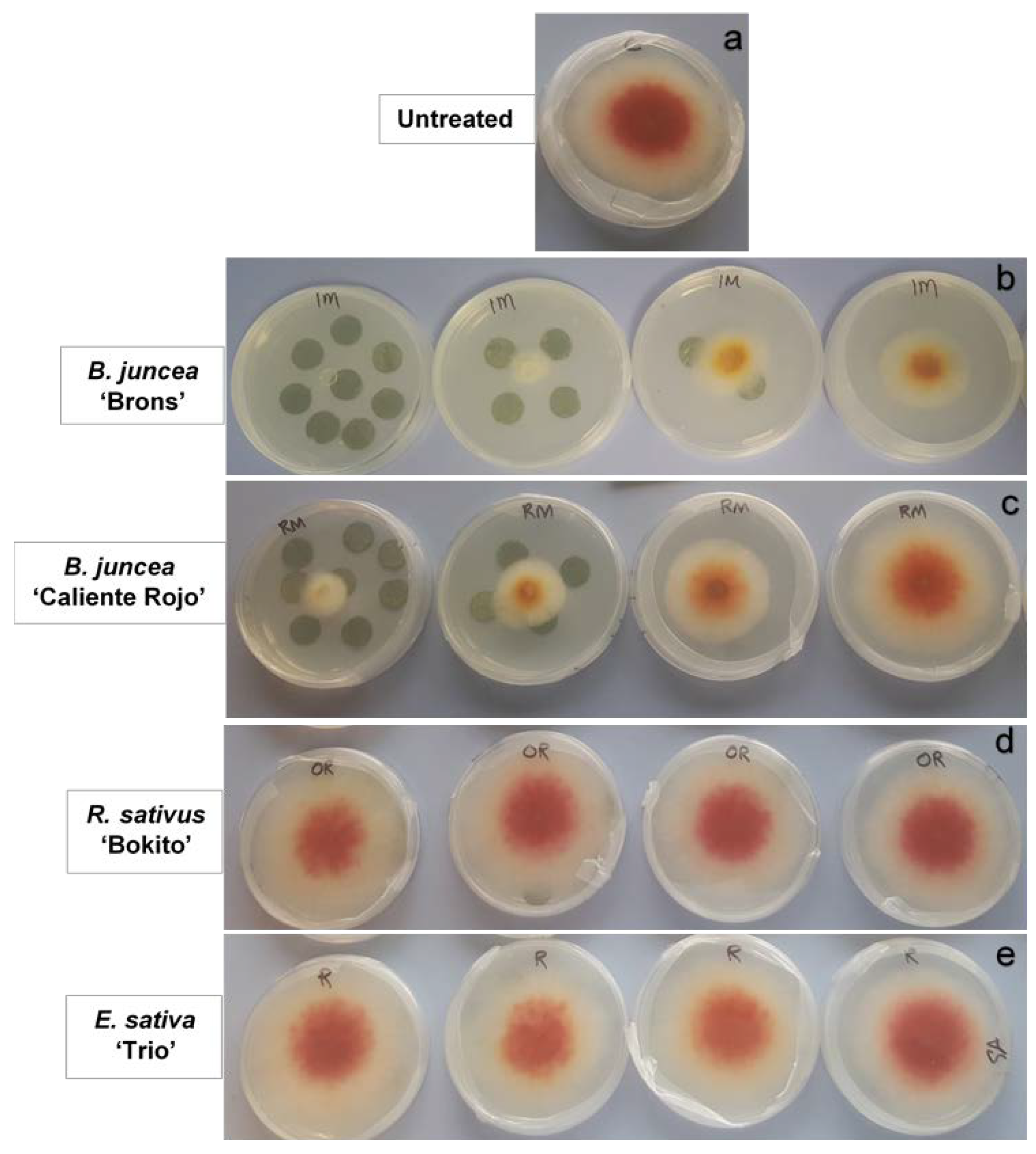 Antibiotics 11 01249 g002