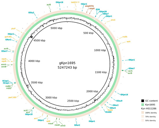 Antibiotics 11 01253 g0a1