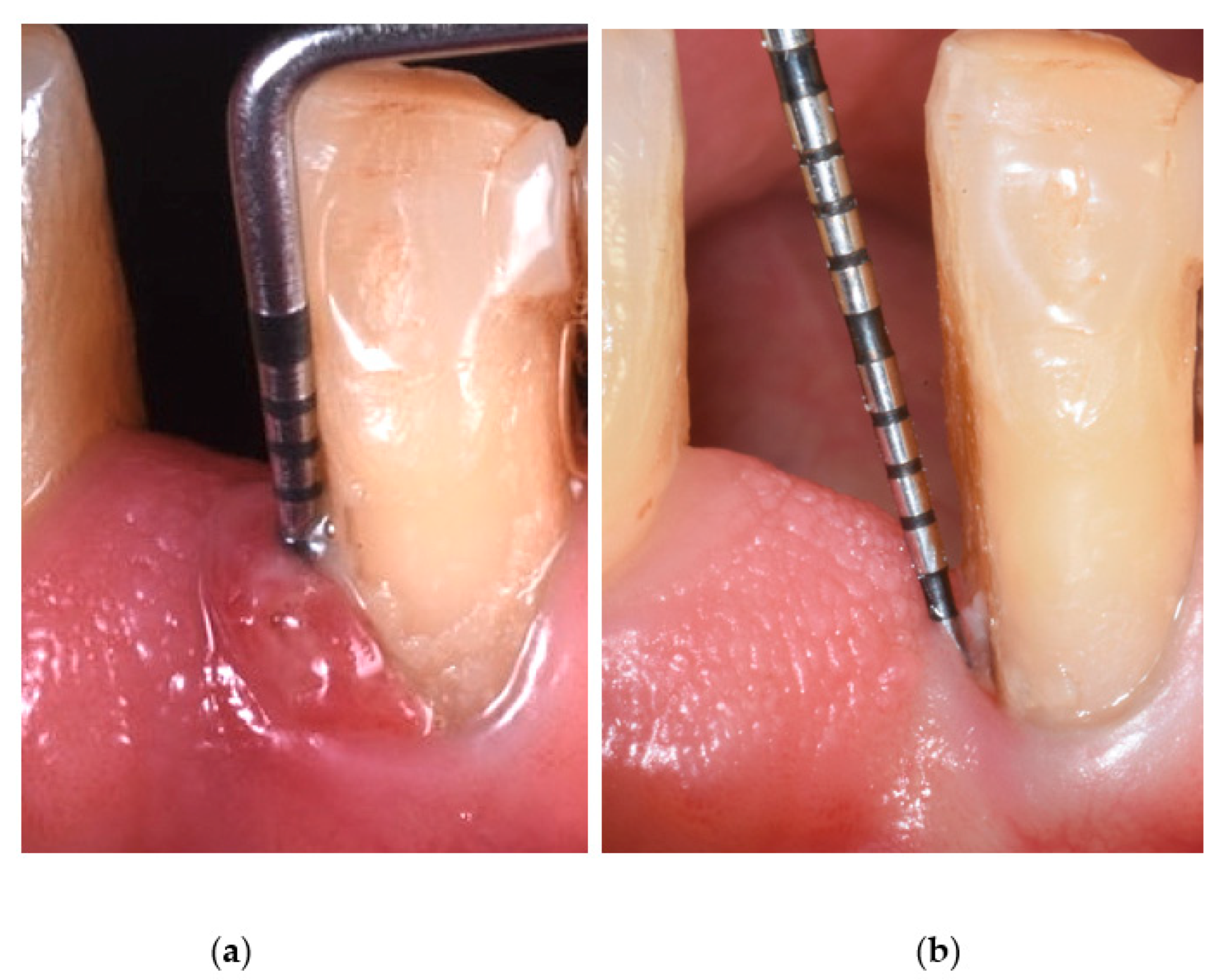 Antibiotics 11 01267 g001