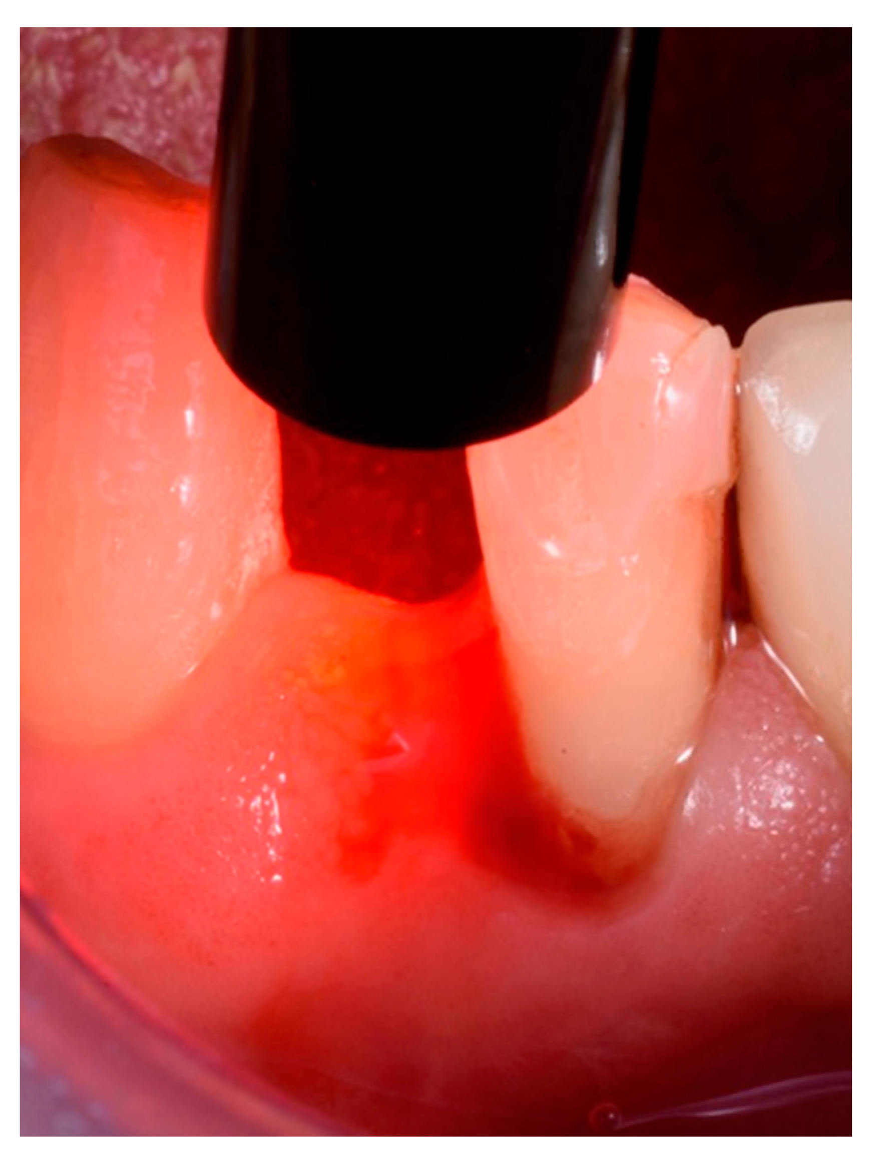 Antibiotics 11 01267 g002