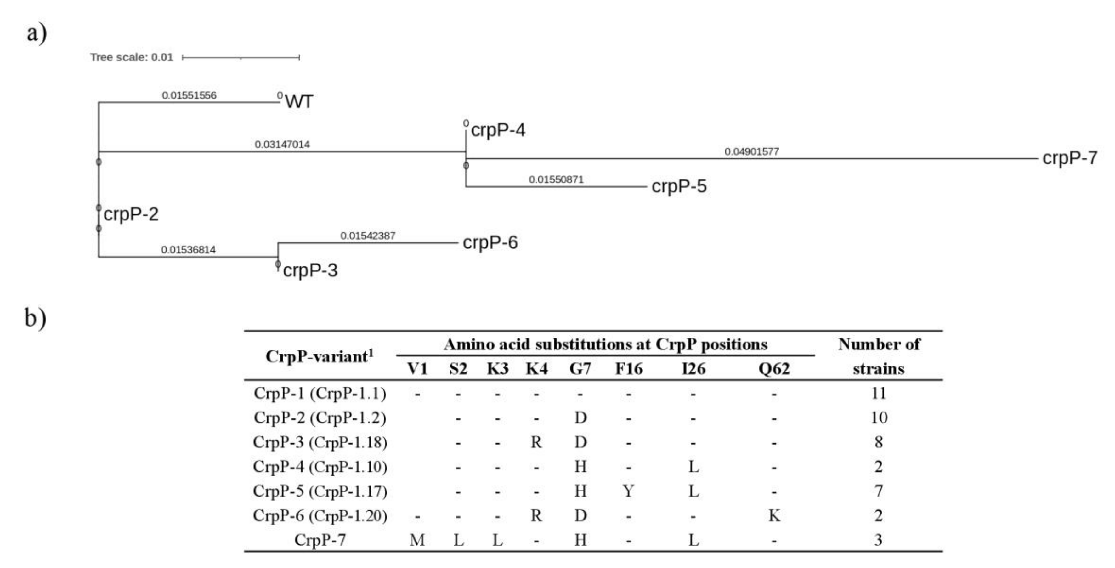 Antibiotics 11 01271 g002